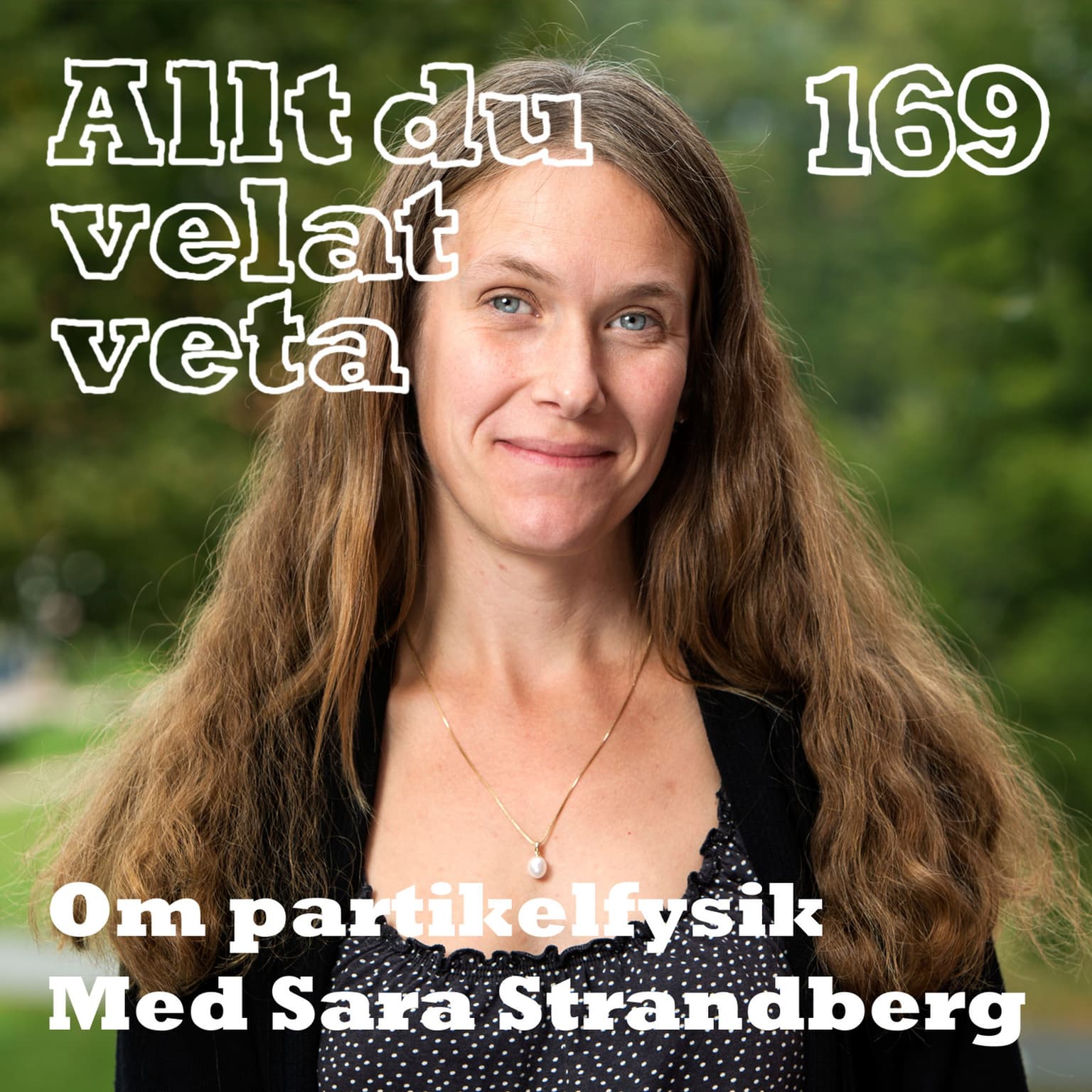 169 Om partikelfysik med Sara Strandberg artwork