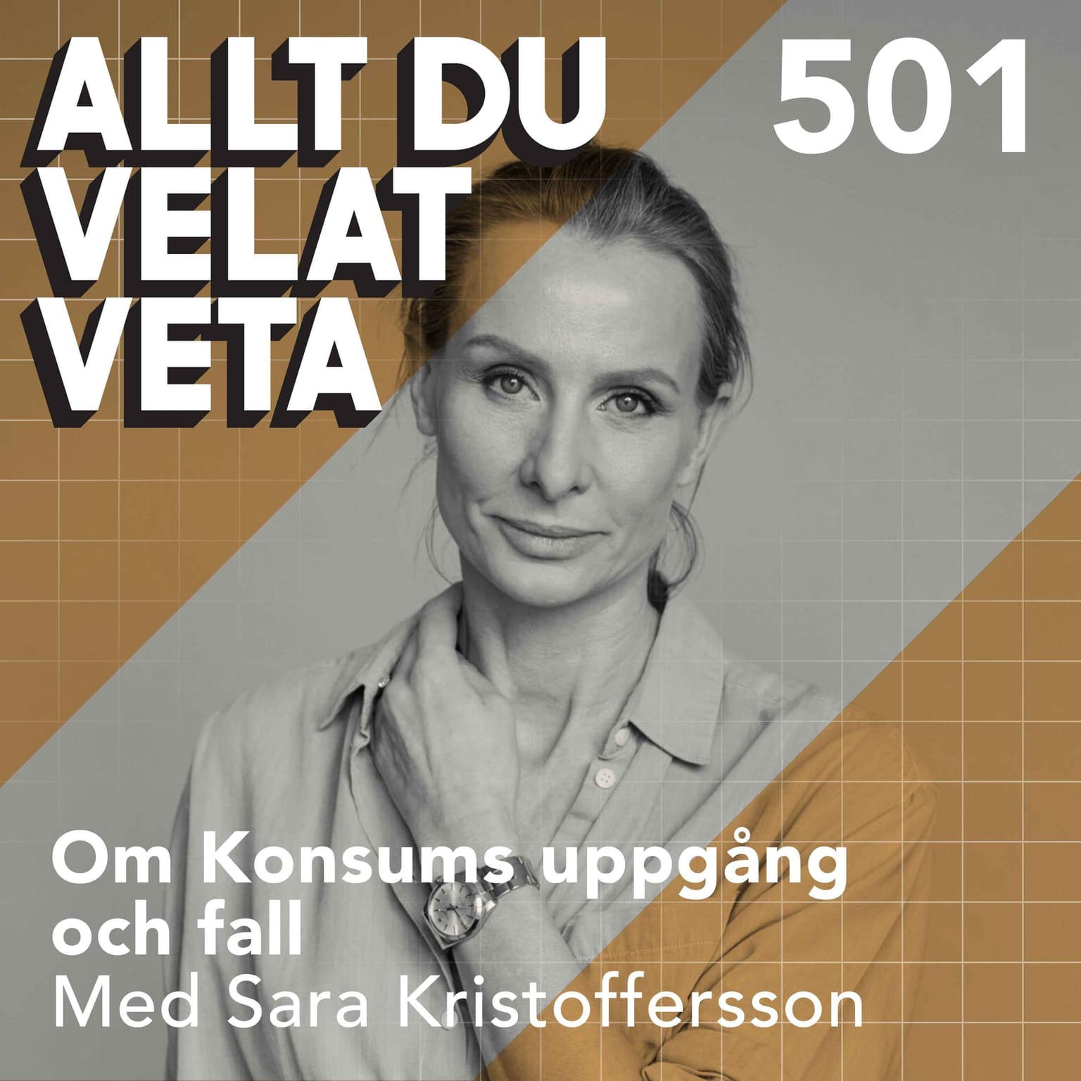 501 Om Konsums uppgång och fall med Sara Kristoffersson artwork