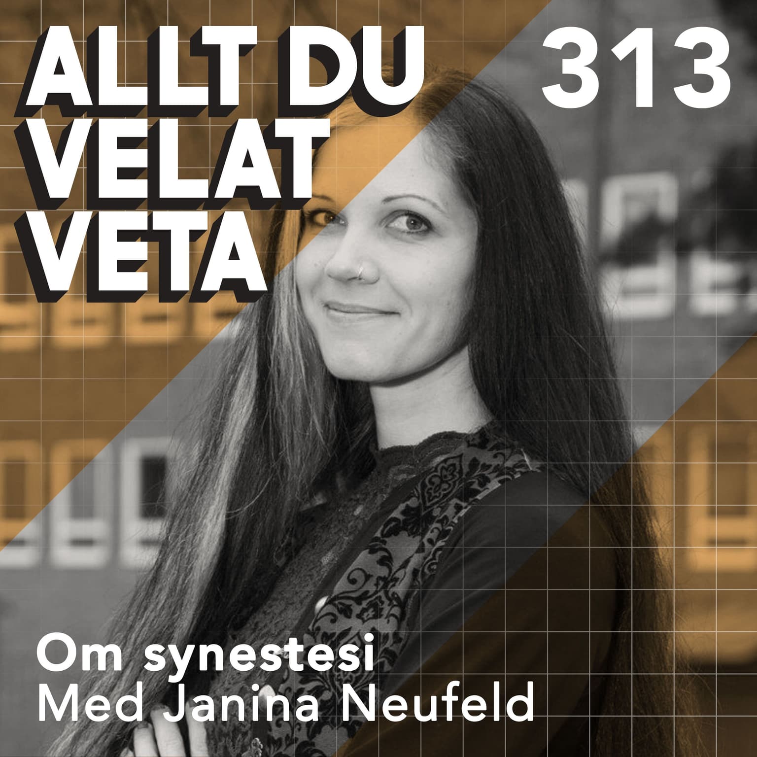 313 Om synestesi med Janina Neufeld artwork