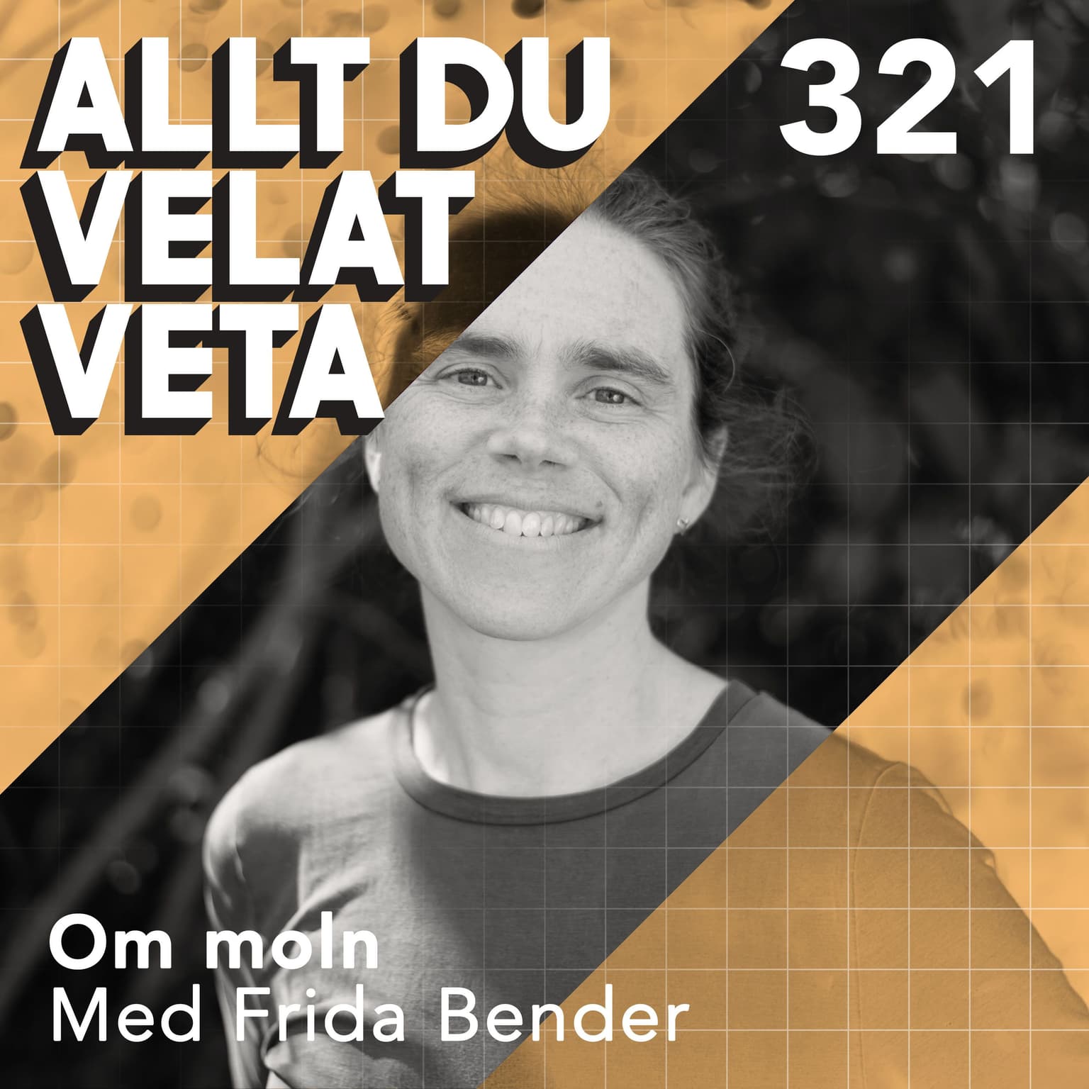 321 Om moln med Frida Bender artwork