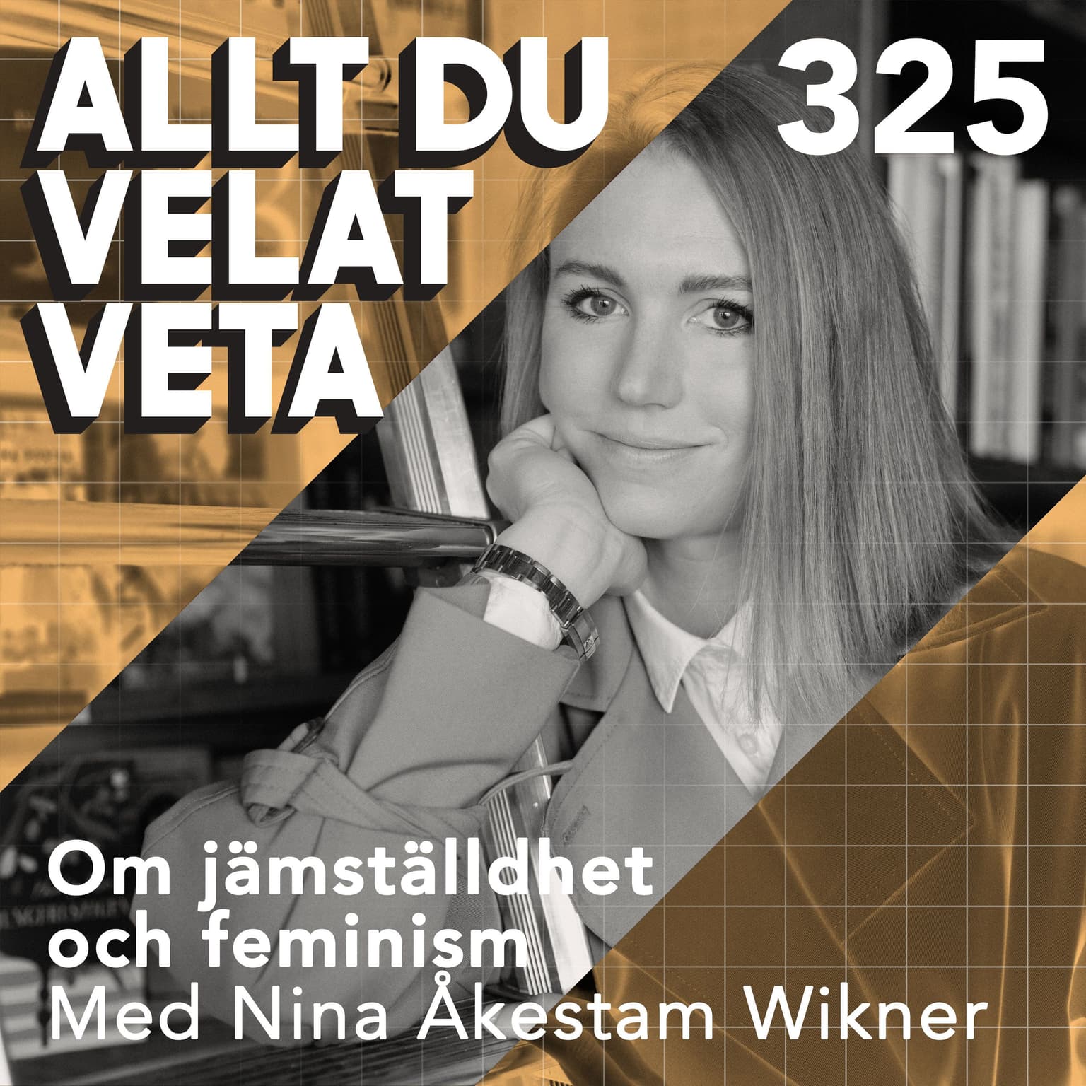 325 Om jämställdhet och feminism med Nina Åkestam Wikner artwork