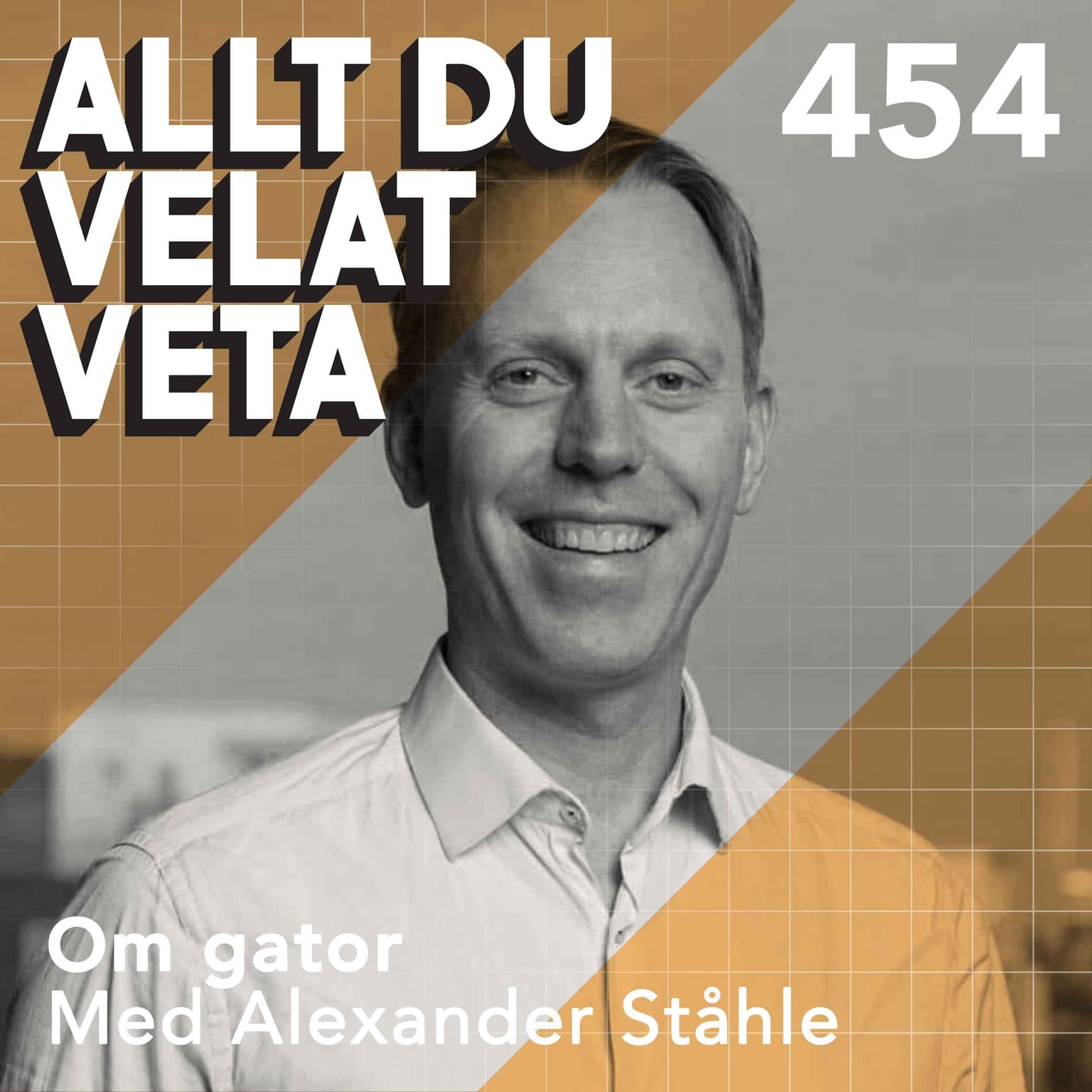 454 Om gator med Alexander Ståhle artwork