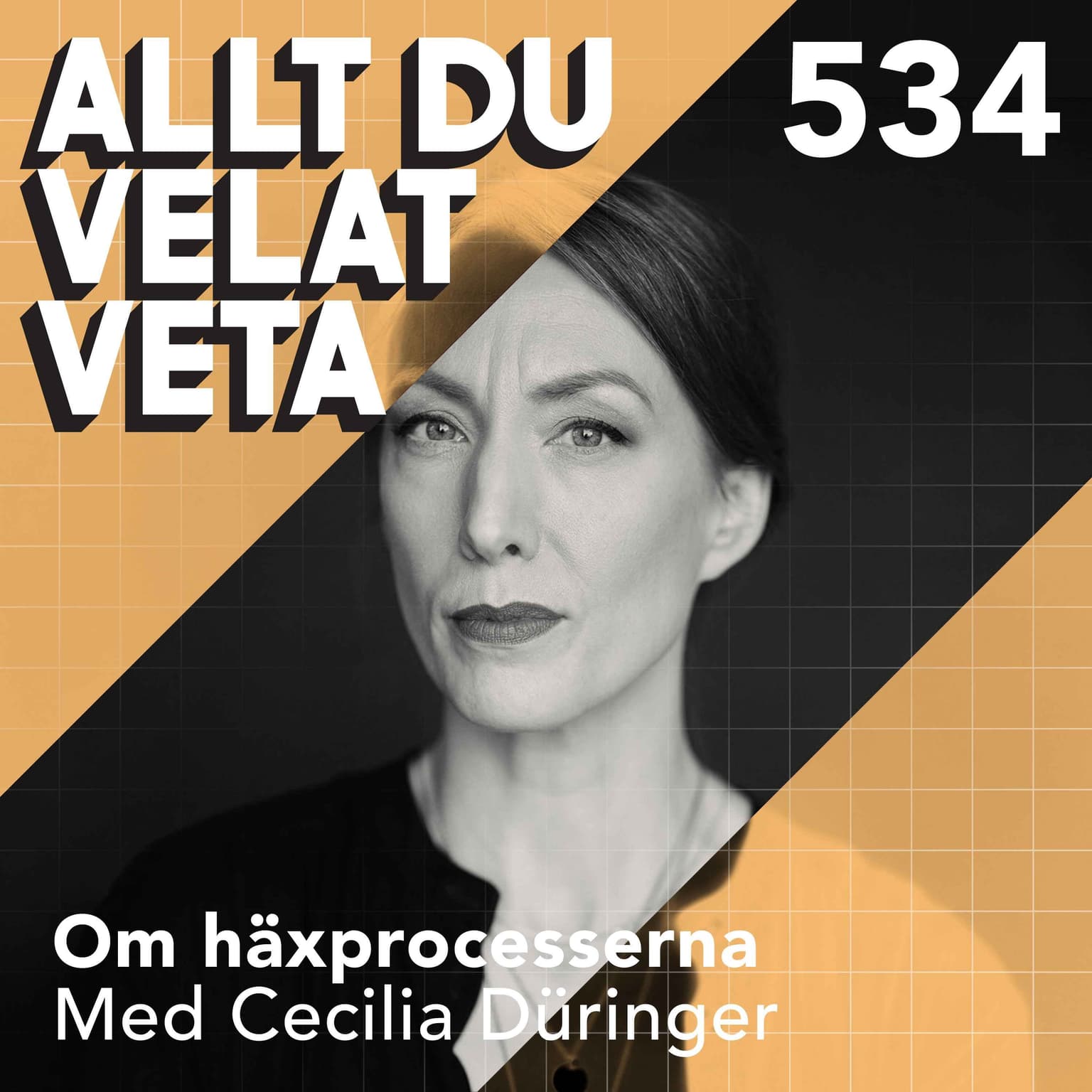 534 Om häxprocesserna med Cecilia Düringer - det stora oväsendet som skakade Sverige artwork