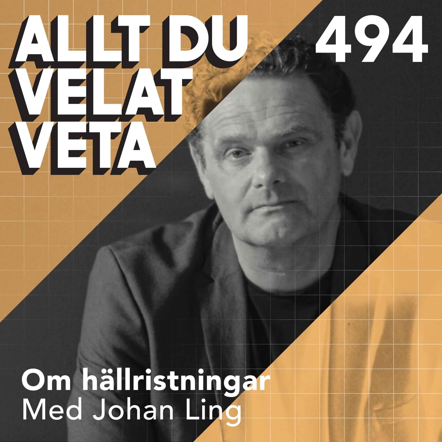 494 Om hällristningar med Johan Ling artwork