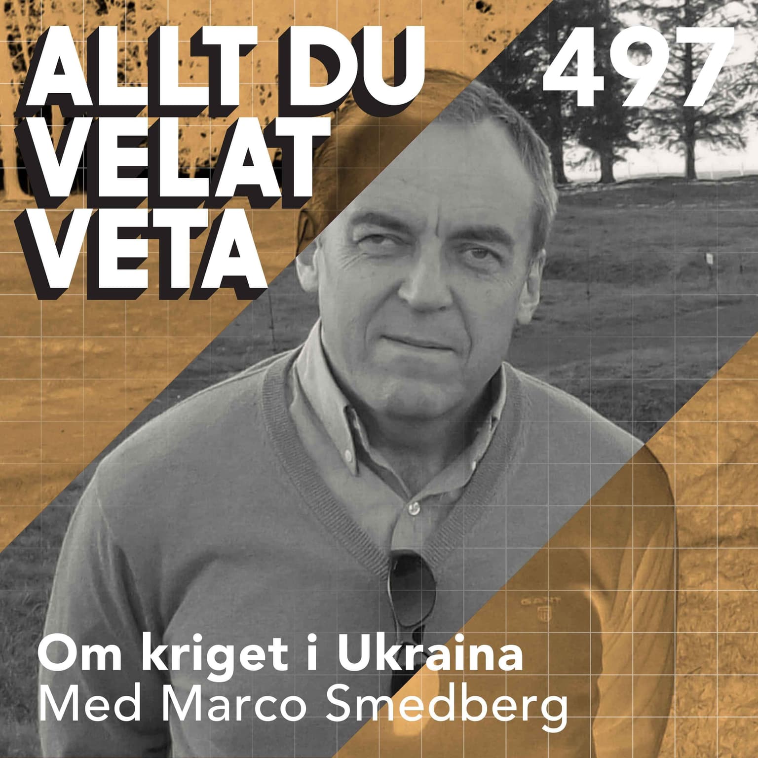 497 Om kriget i Ukraina med Marco Smedberg artwork