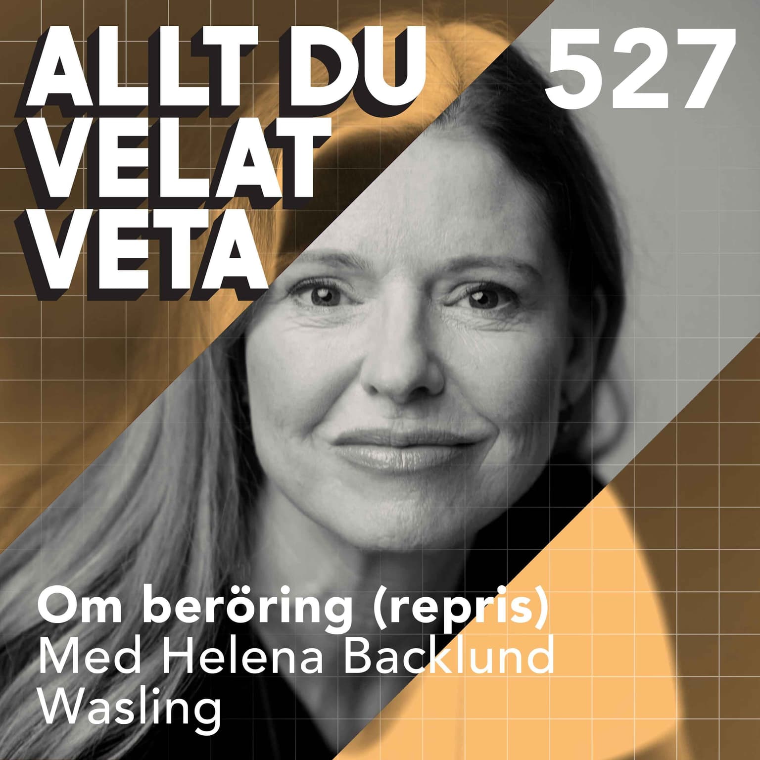 527 Om beröring med Helena Backlund Wasling (repris) artwork