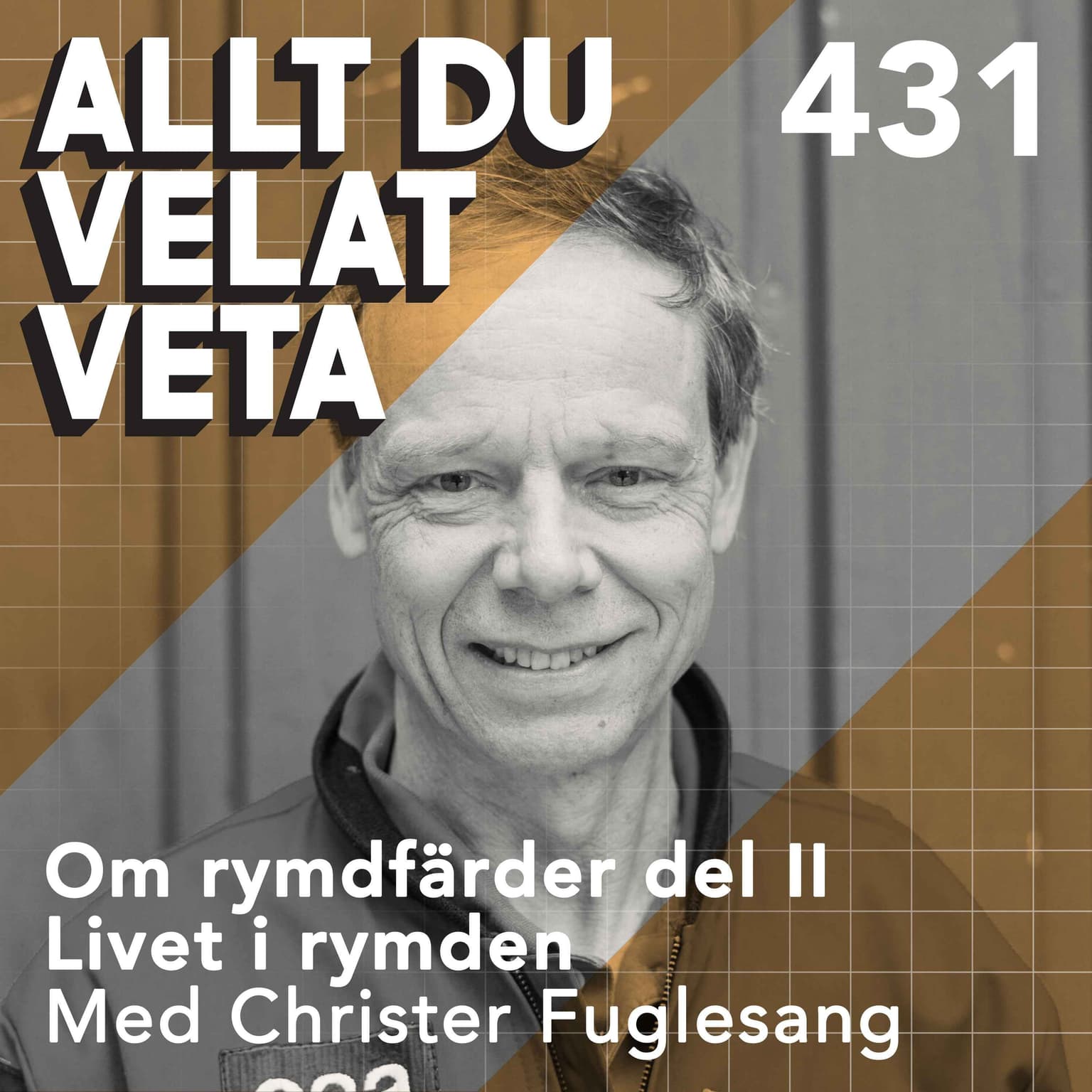 431 Om rymdfärder del II: Livet i rymden med Christer Fuglesang artwork