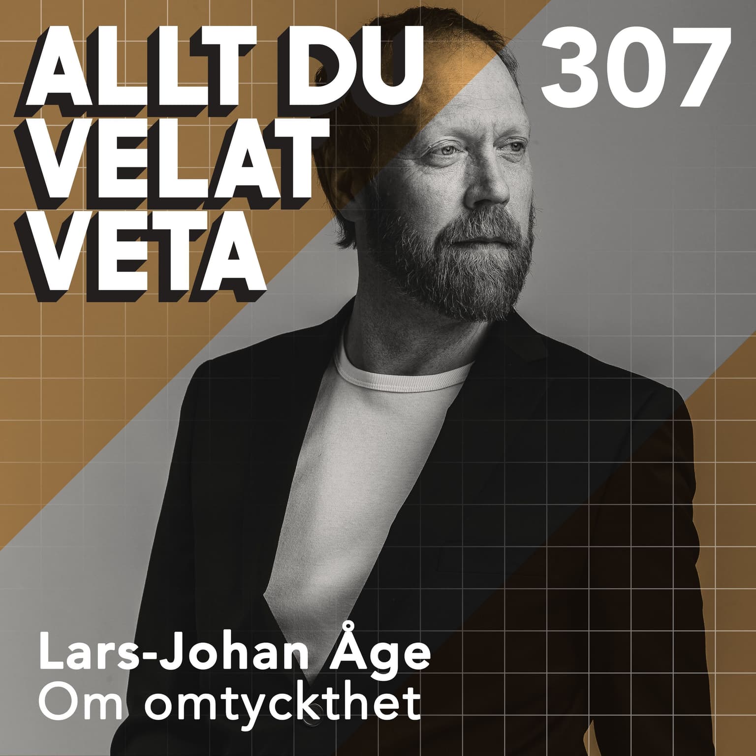 307 Om omtyckthet med Lars-Johan Åge artwork