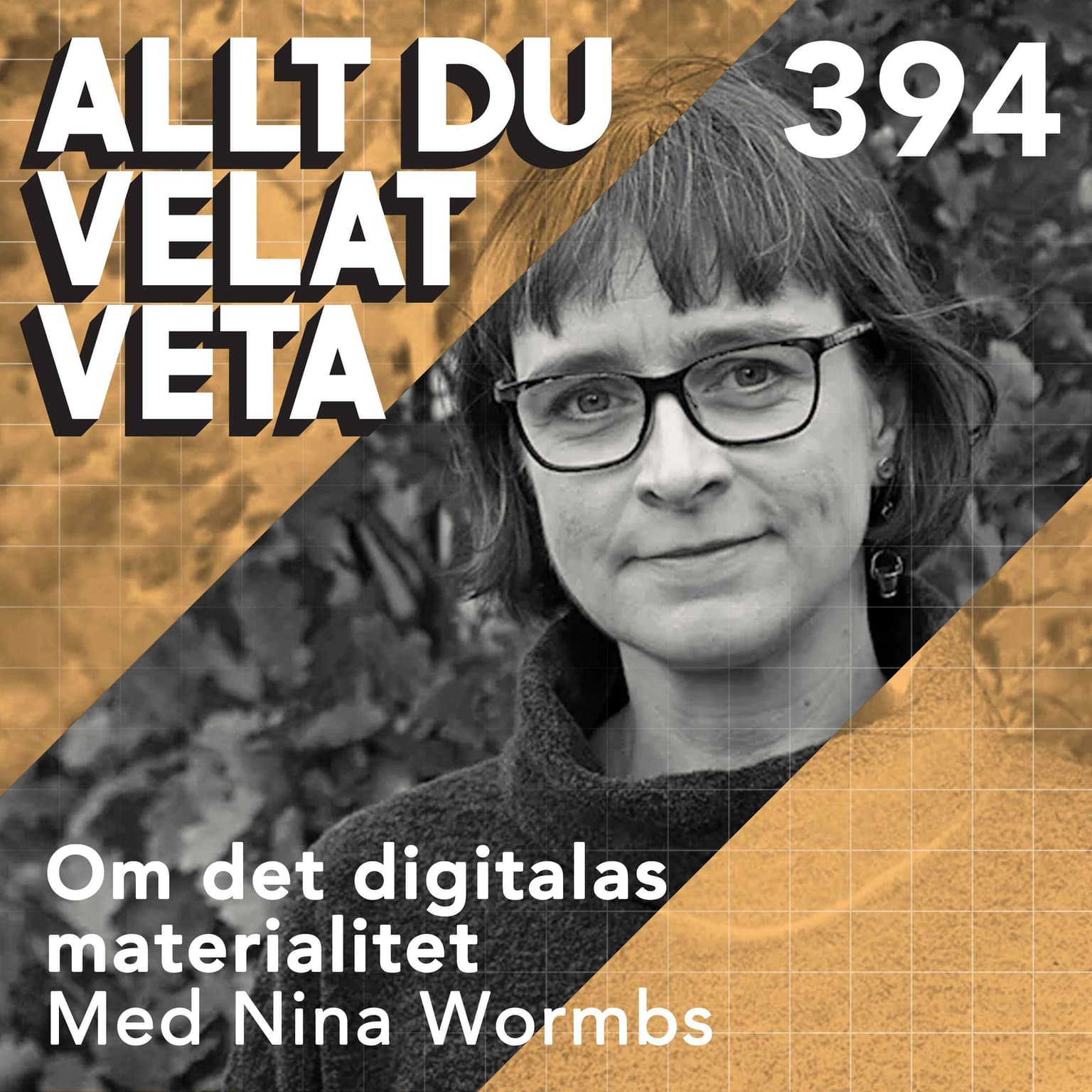394 Om det digitalas materialitet med Nina Wormbs artwork