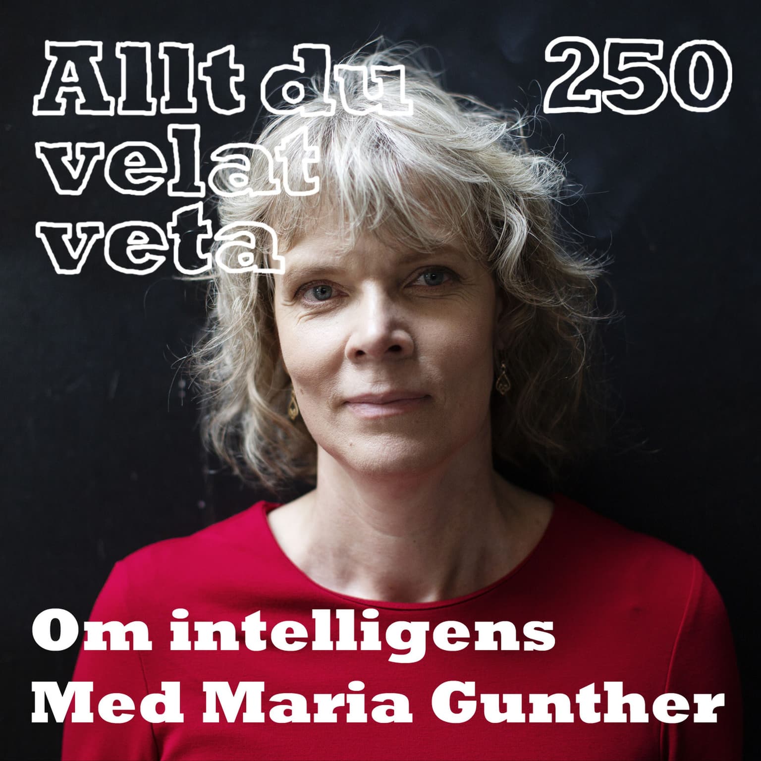 250 Om intelligens med Maria Gunther artwork