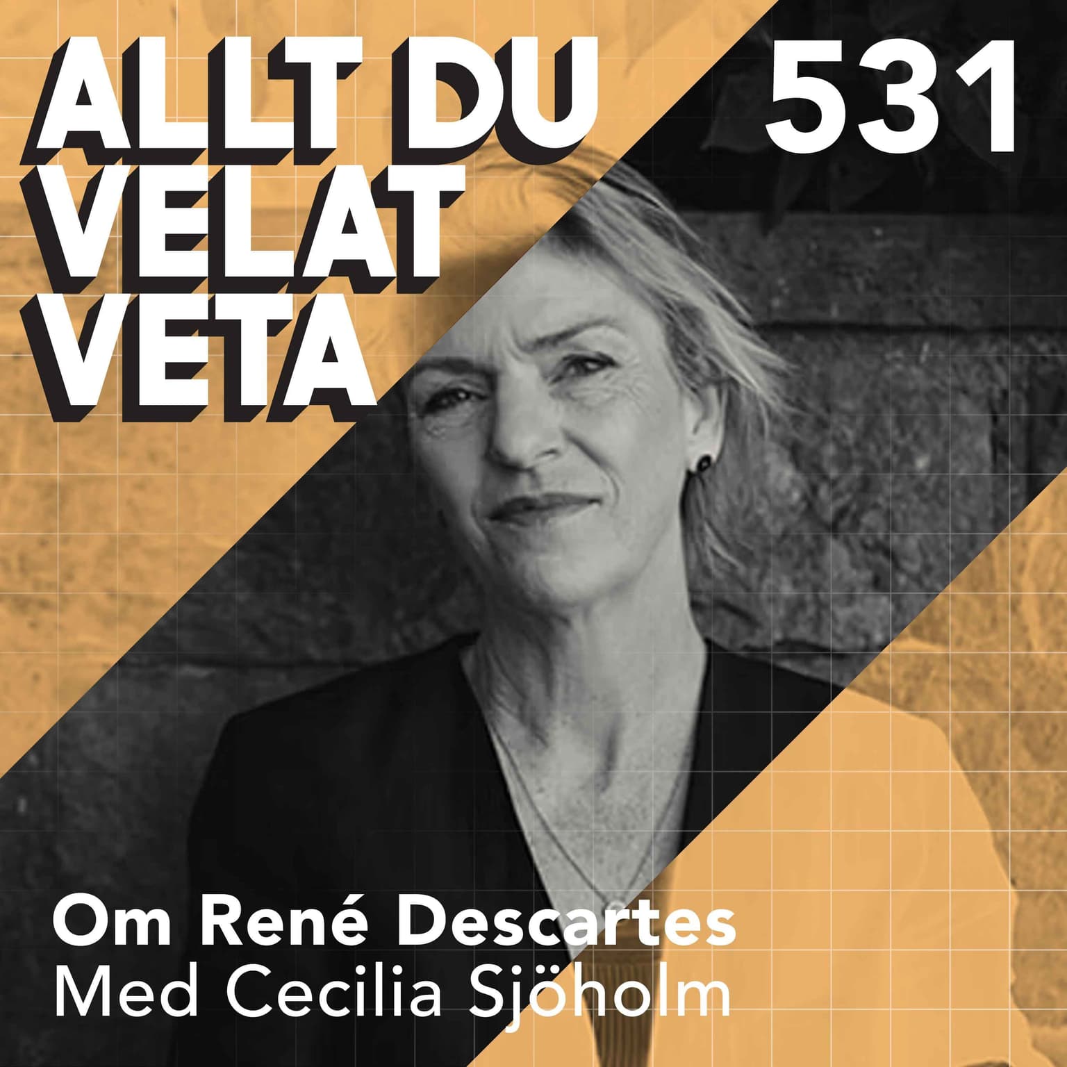 531 Om René Descartes med Cecilia Sjöholm artwork