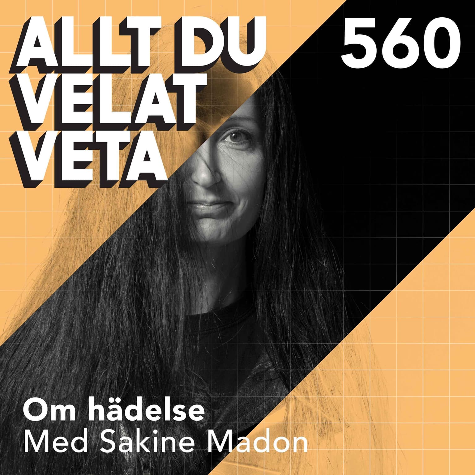 560 Om hädelse med Sakine Madon artwork