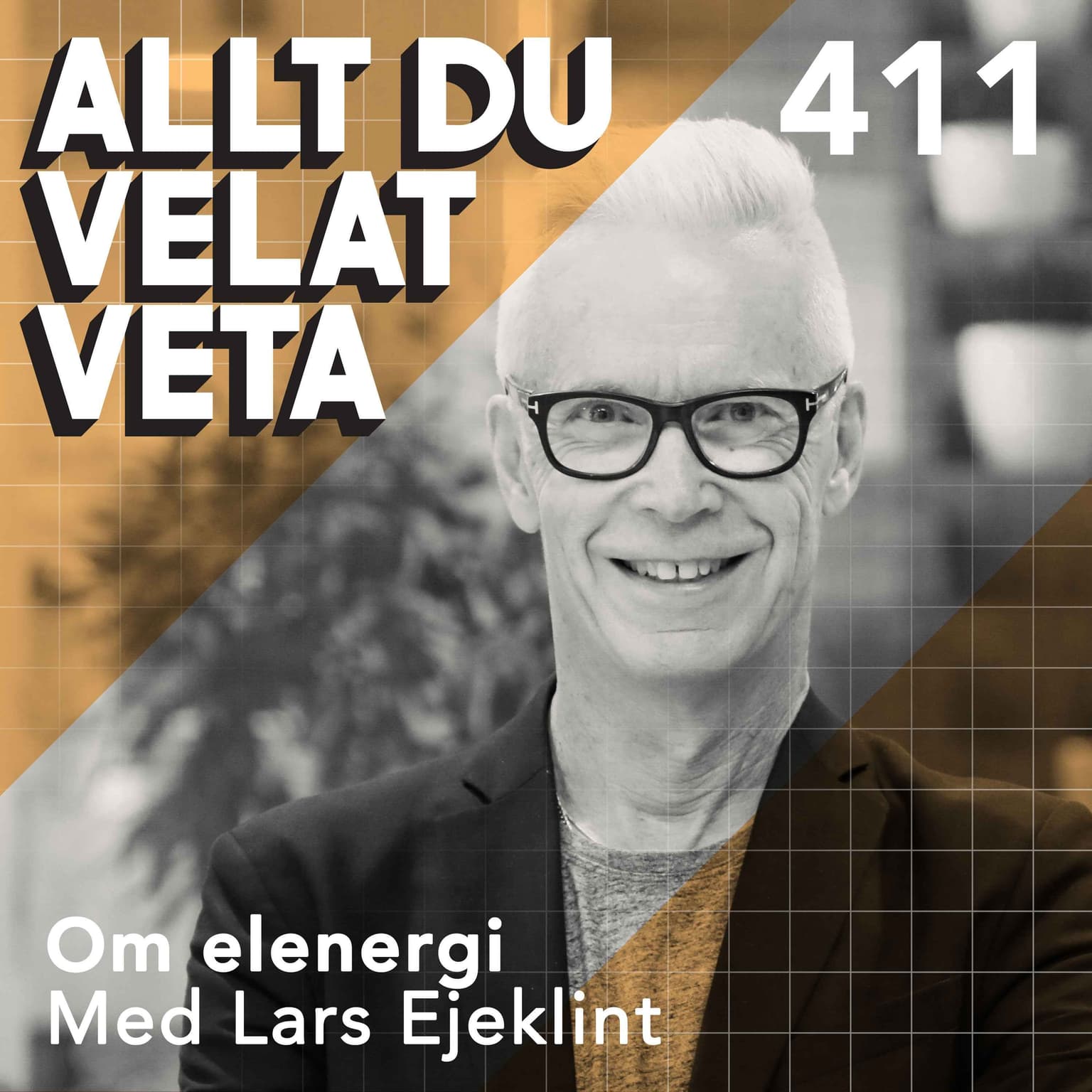 411 Om elenergi med Lars Ejeklint artwork