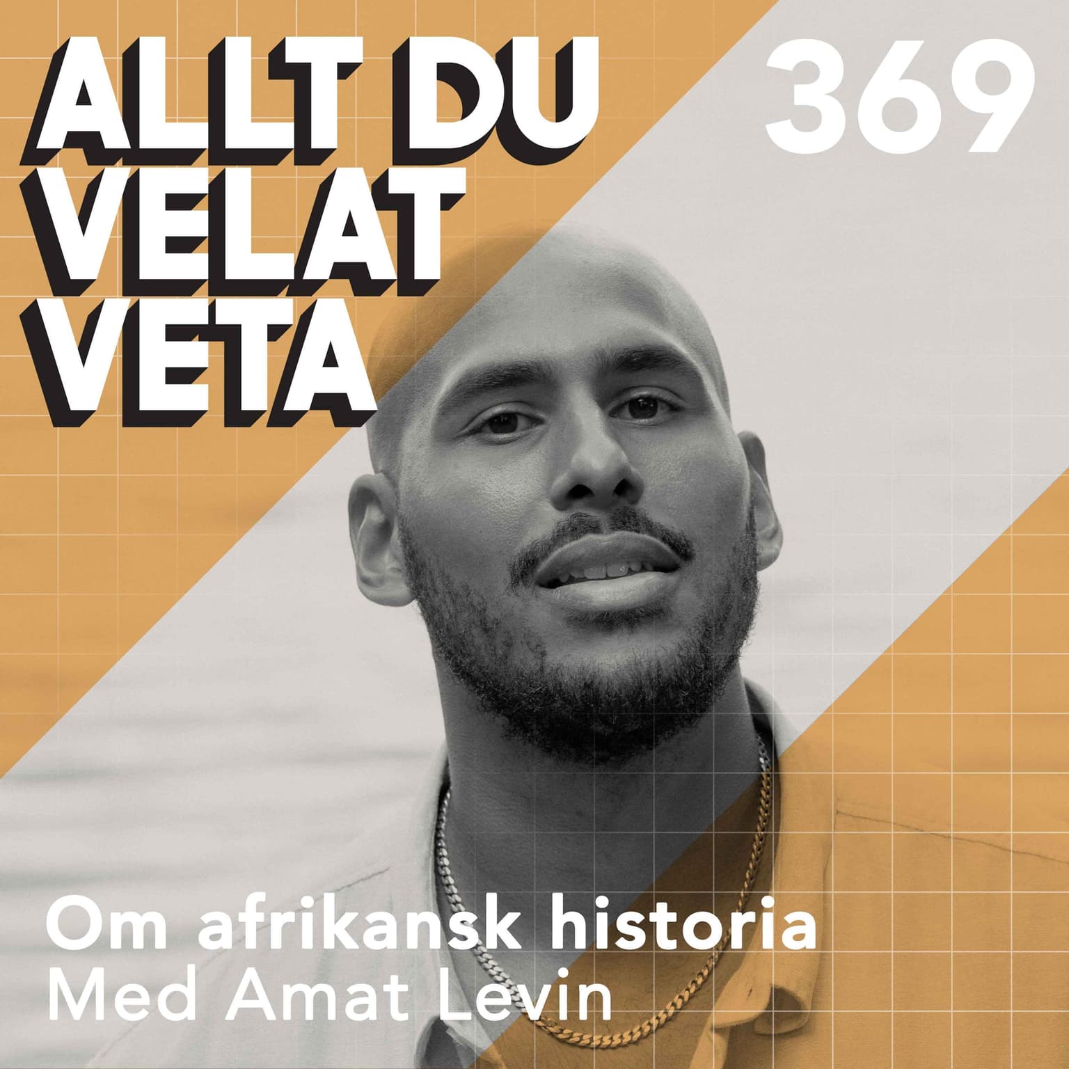 369 Om afrikansk historia med Amat Levin artwork