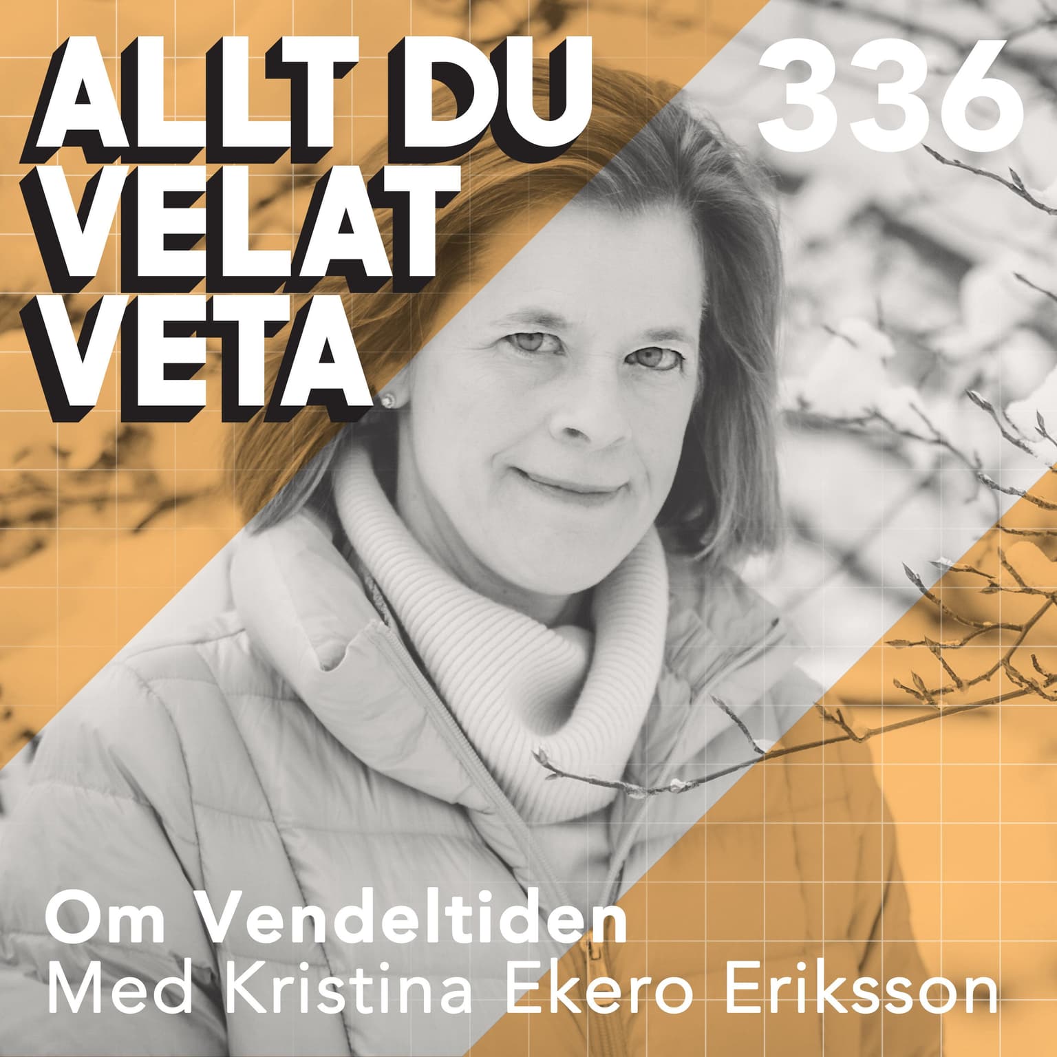 336 Om Vendeltiden med Kristina Ekero Eriksson artwork