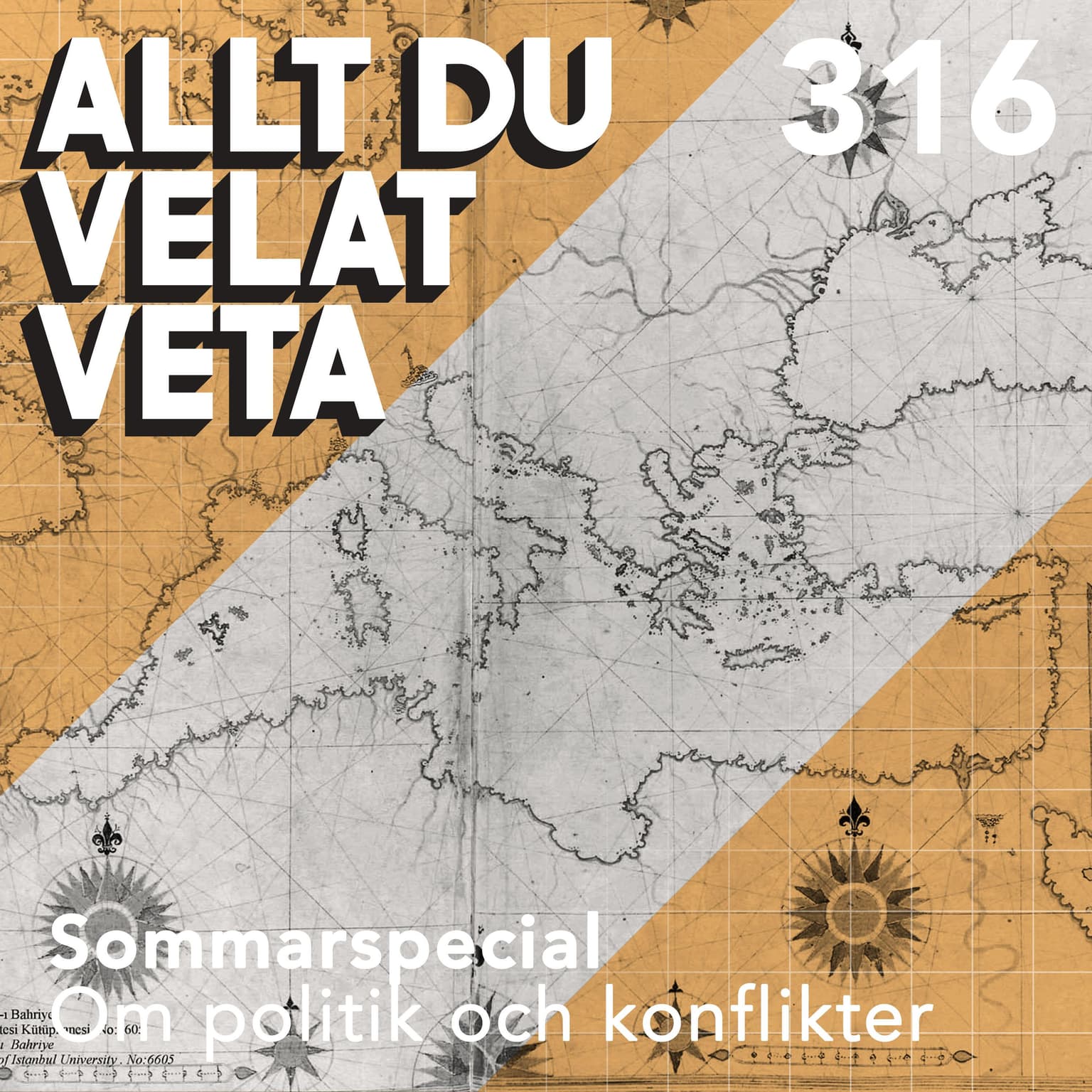 316 Sommarspecial om politik och konflikter artwork
