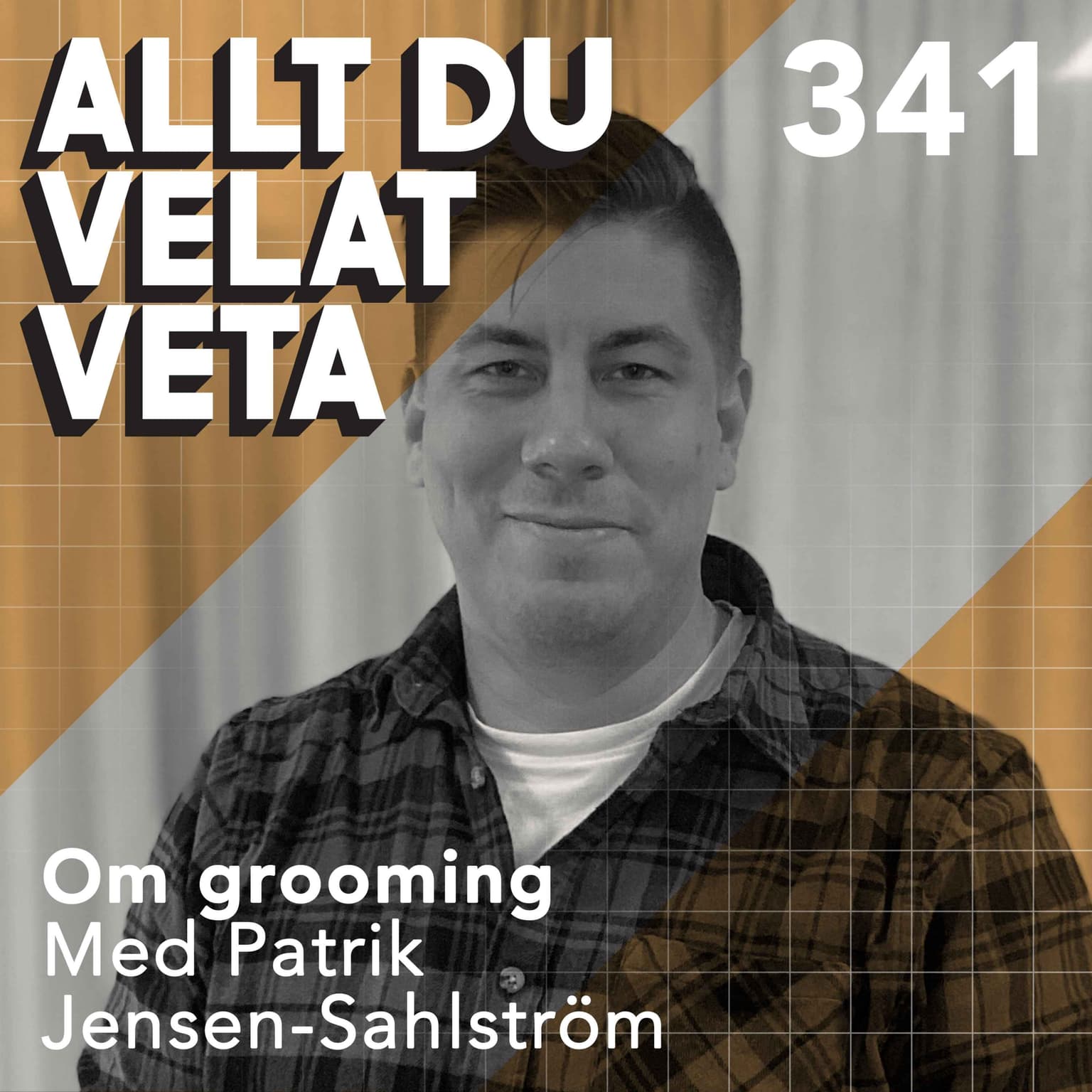 341 Om grooming med Patrik Jensen-Sahlström artwork