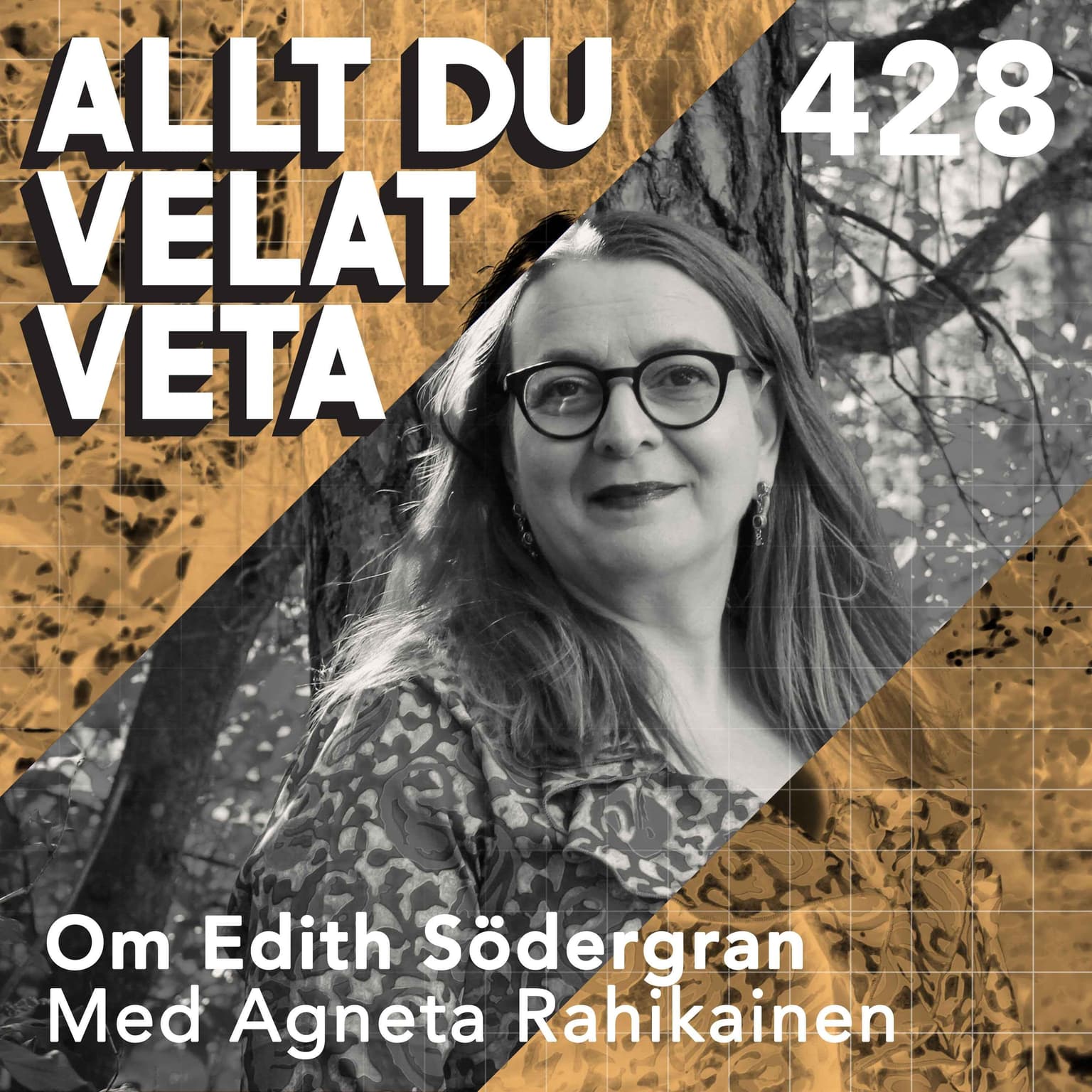 428 Om Edith Södergran med Agneta Rahikainen artwork