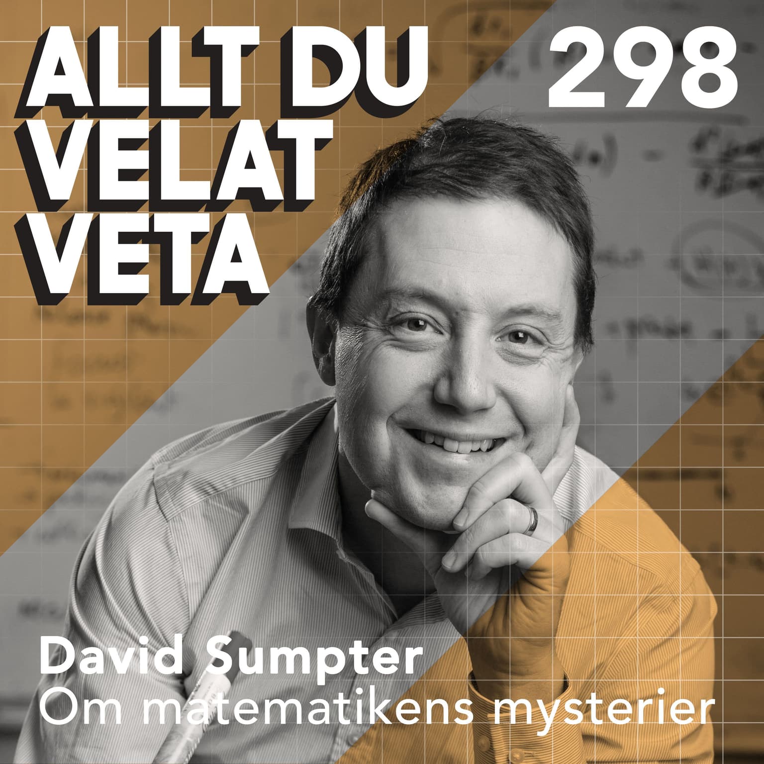 298 Om matematikens mysterier med David Sumpter artwork