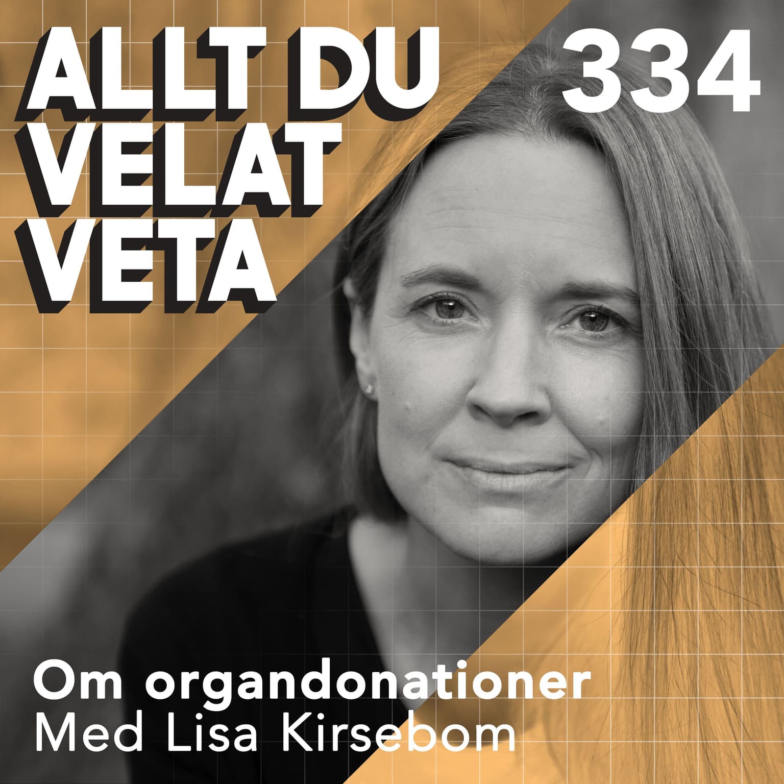 334 Om organdonationer med Lisa Kirsebom artwork