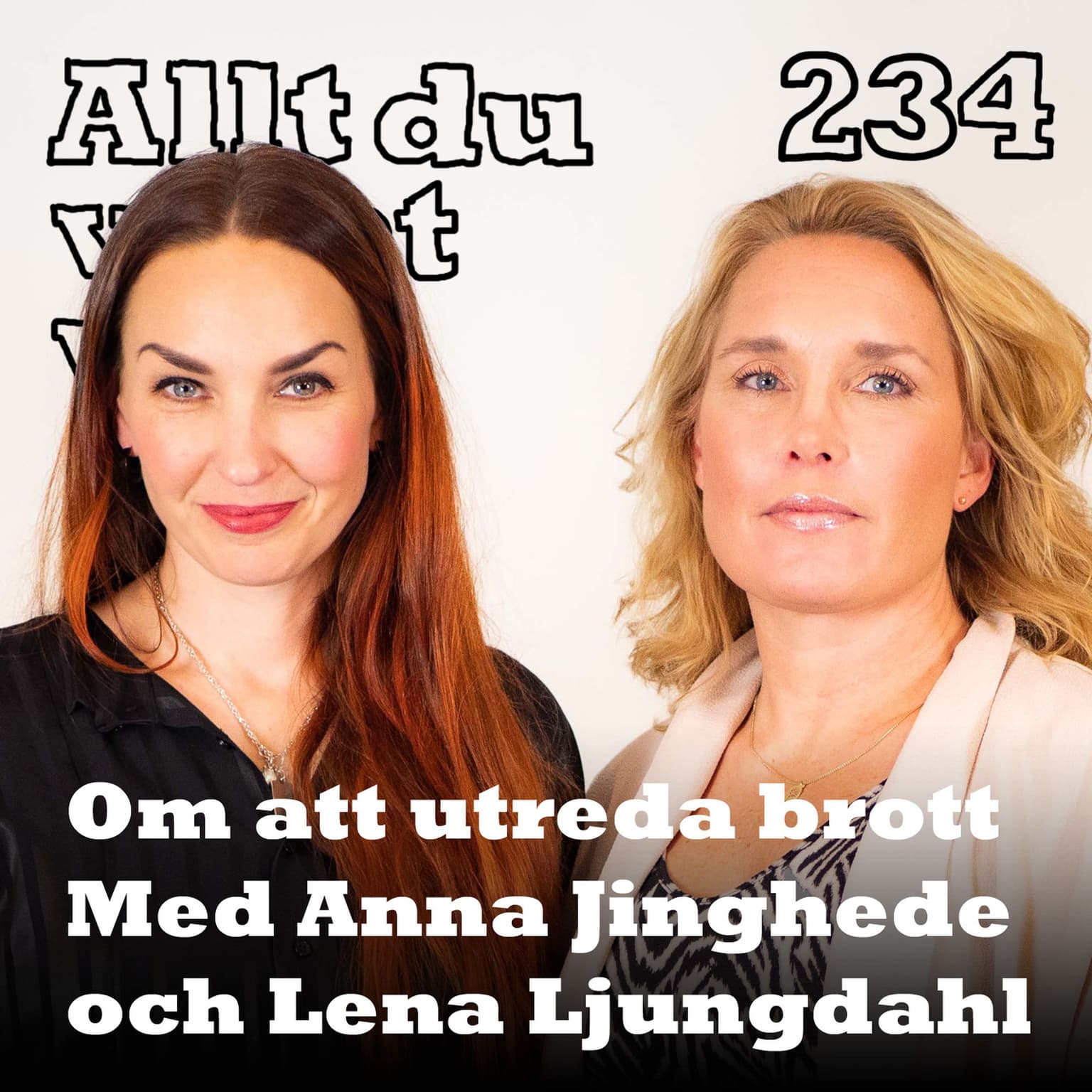 234 Om att utreda brott med Anna Jinghede och Lena Ljungdahl artwork
