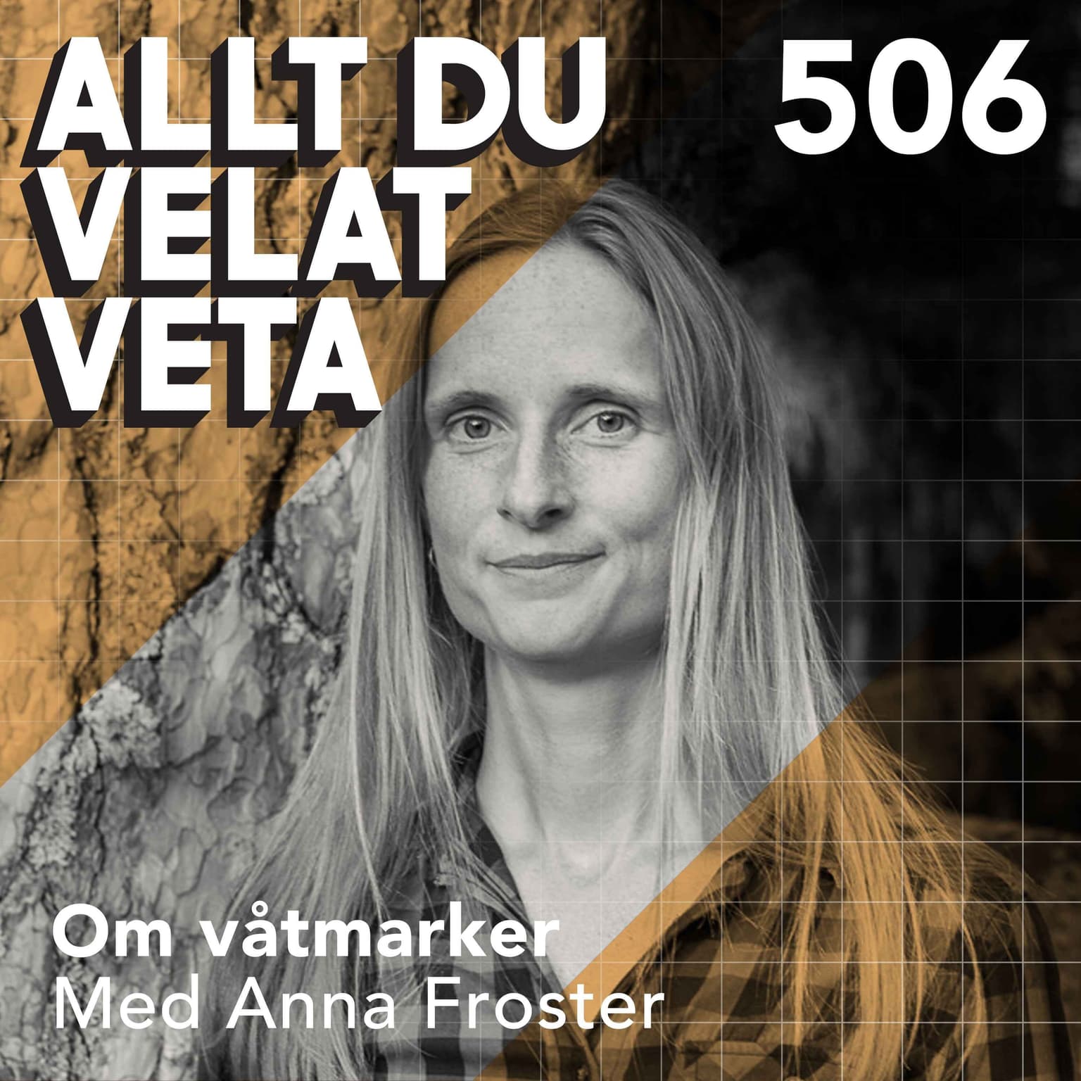 506 Om våtmarker med Anna Froster artwork