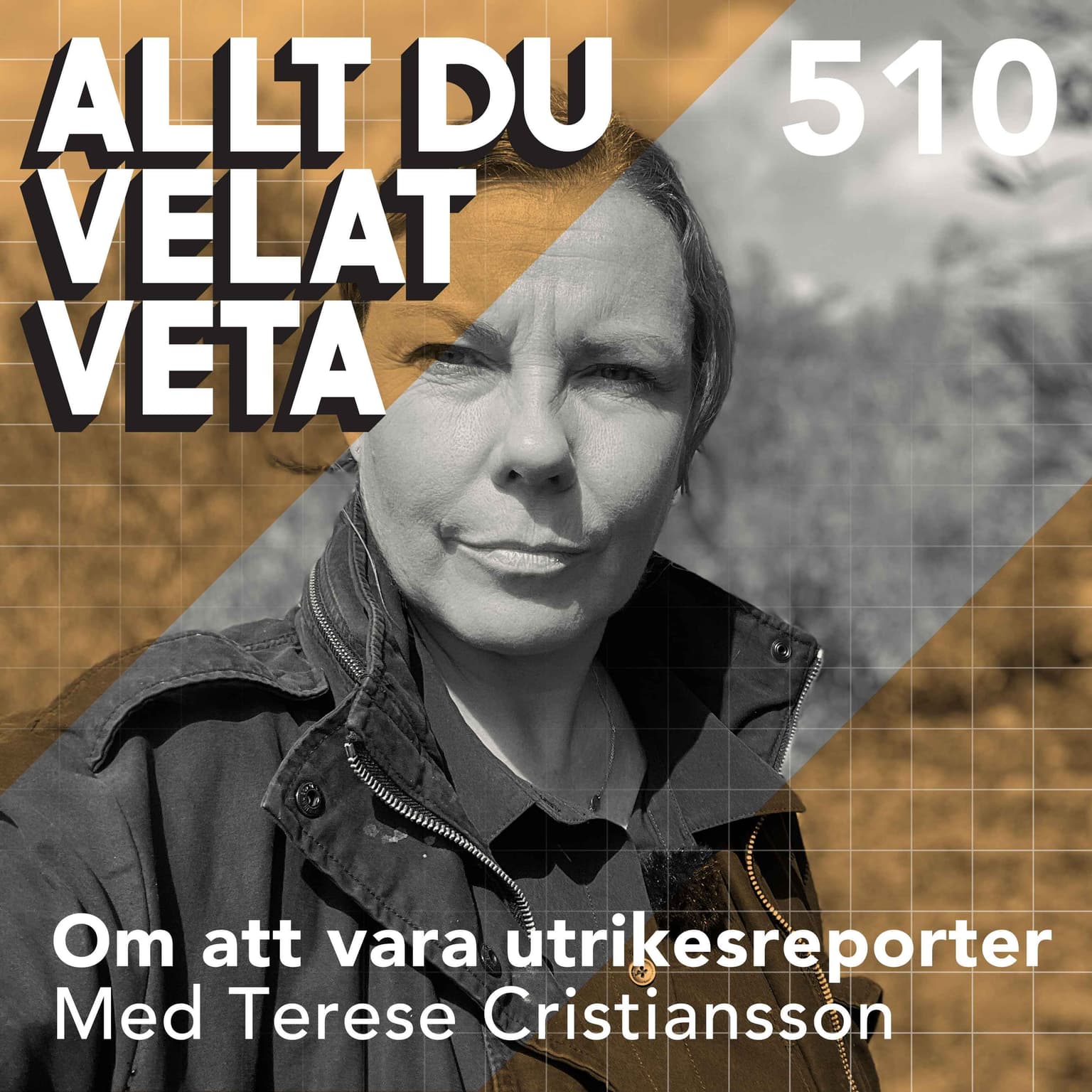 510 Om att vara utrikesreporter med Terese Cristiansson artwork