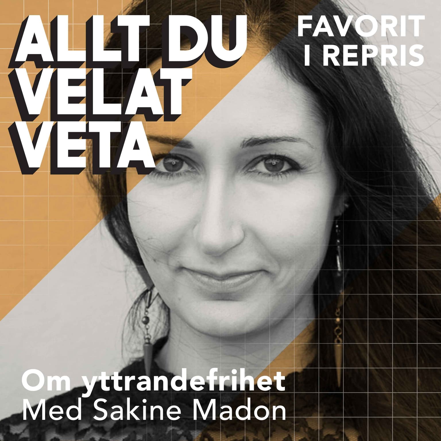 Om yttrandefrihet med Sakine Madon (repris) artwork