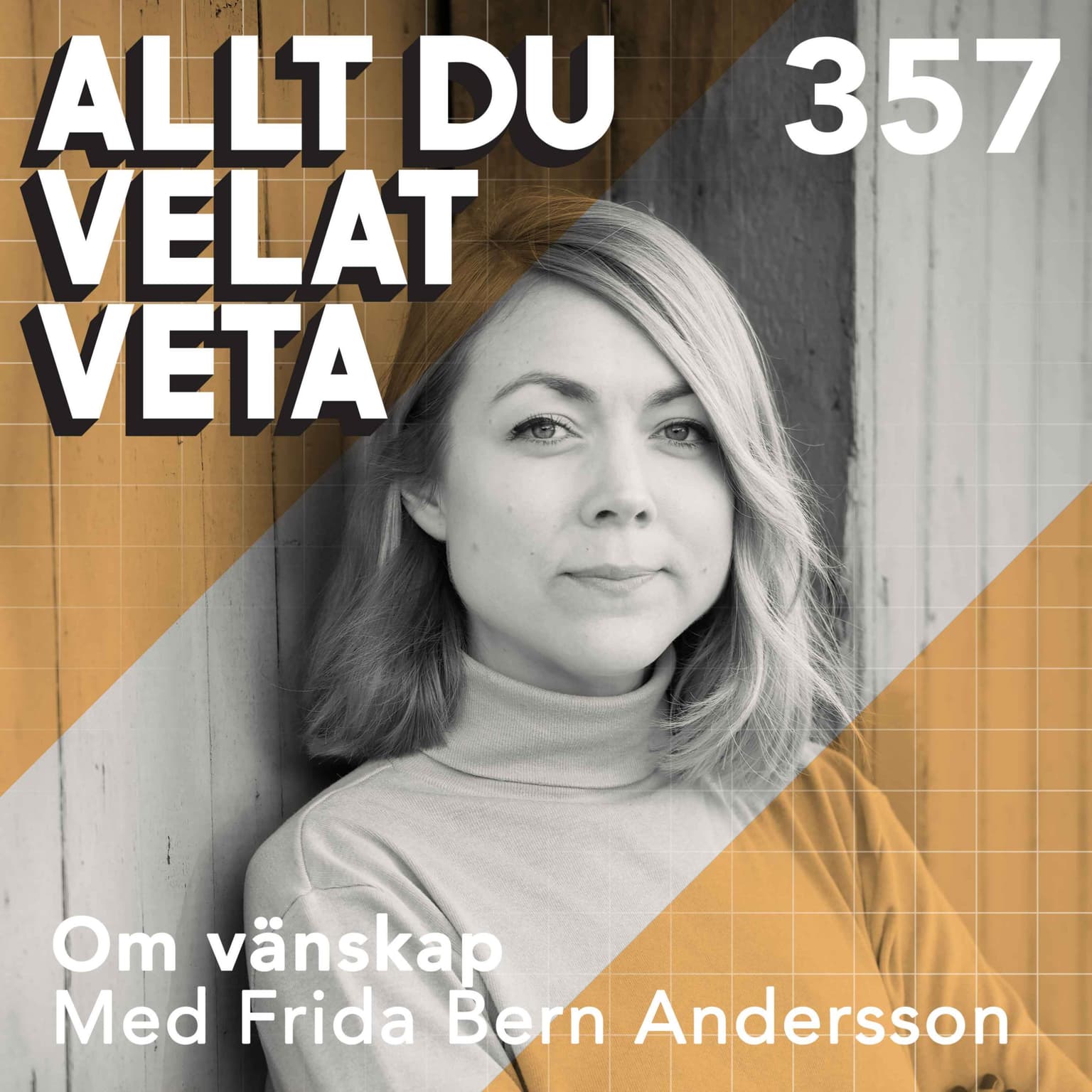 357 Om vänskap med Frida Bern Andersson artwork