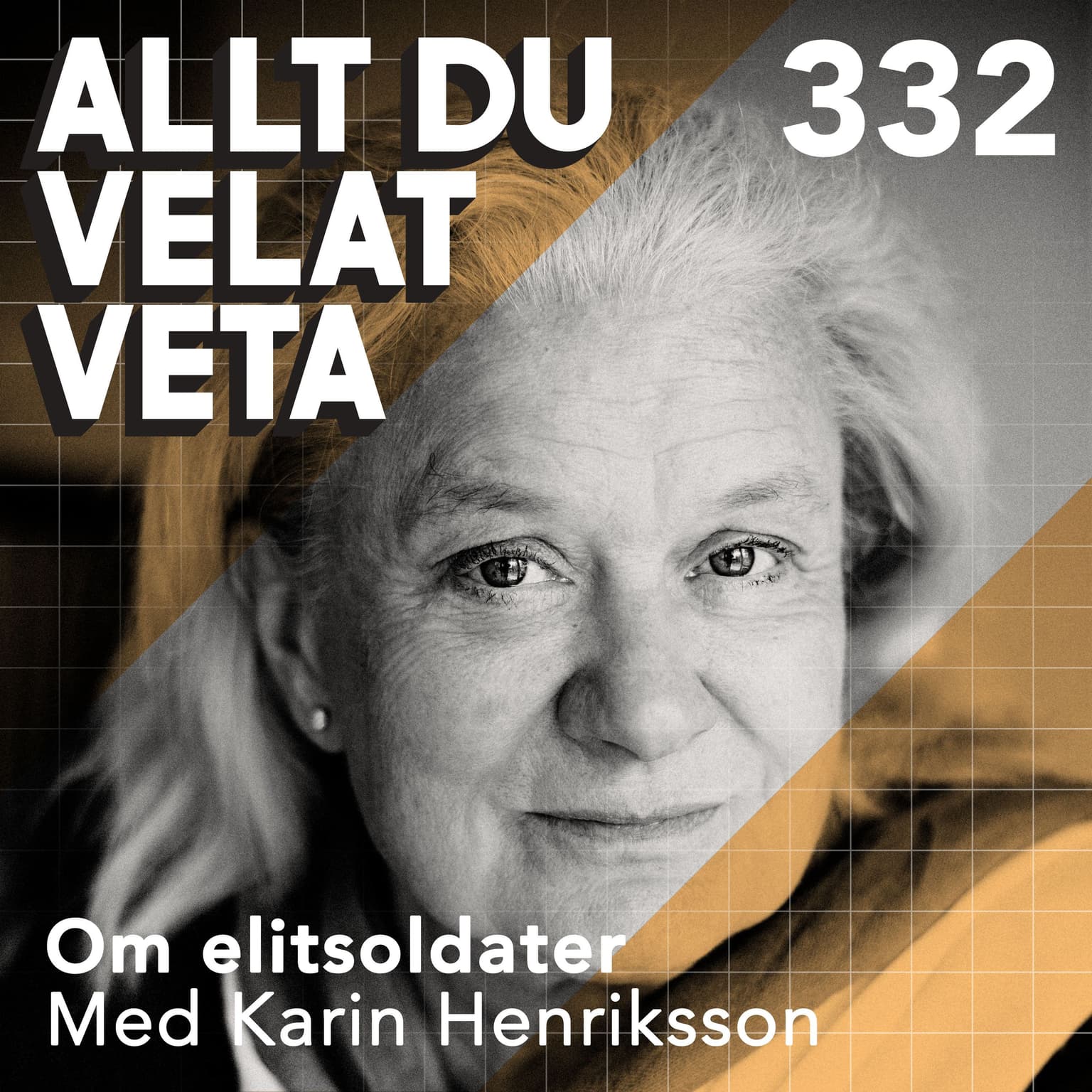 332 Om elitsoldater med Karin Henrikssson artwork