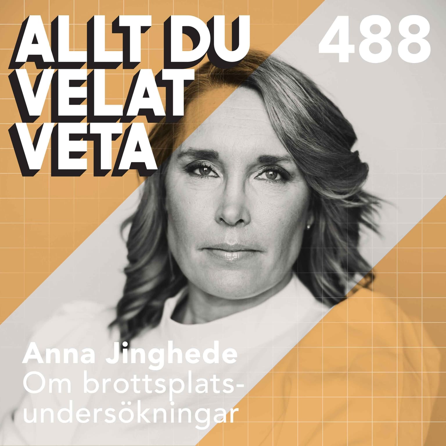 488 Om brottsplatsundersökningar med Anna Jinghede artwork