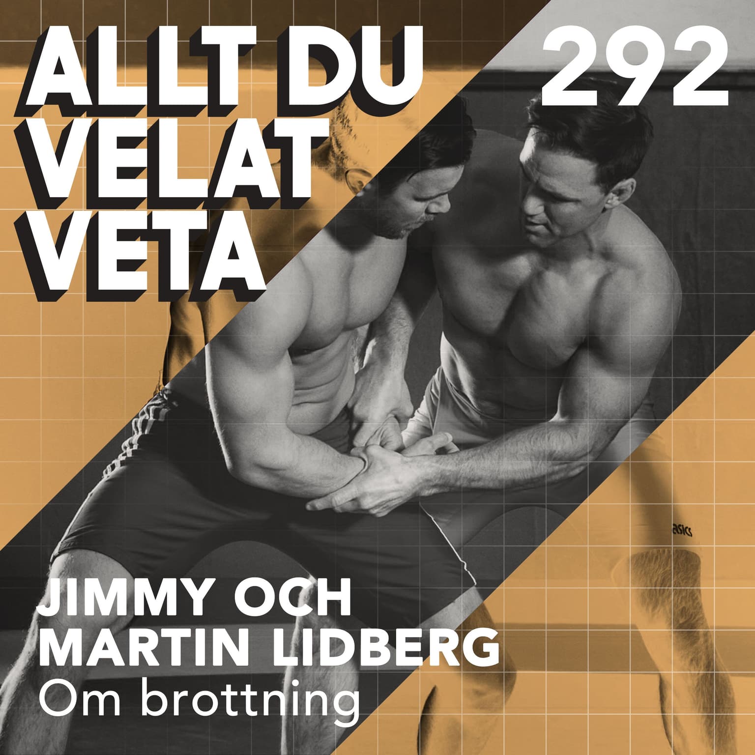 292 Om brottning med Jimmy och Martin Lidberg artwork