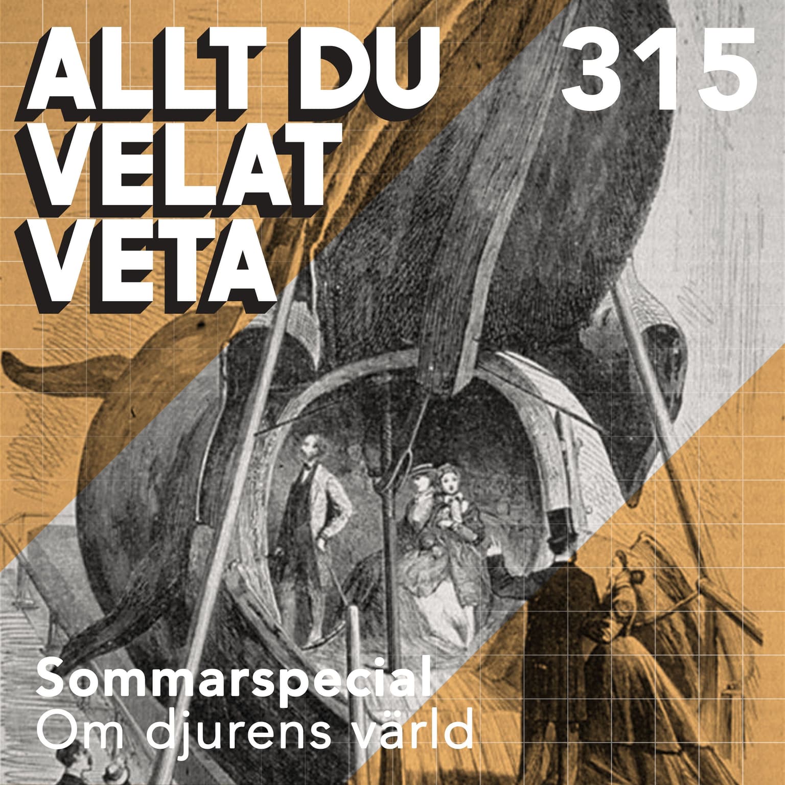 315 Sommarspecial om djurens värld artwork
