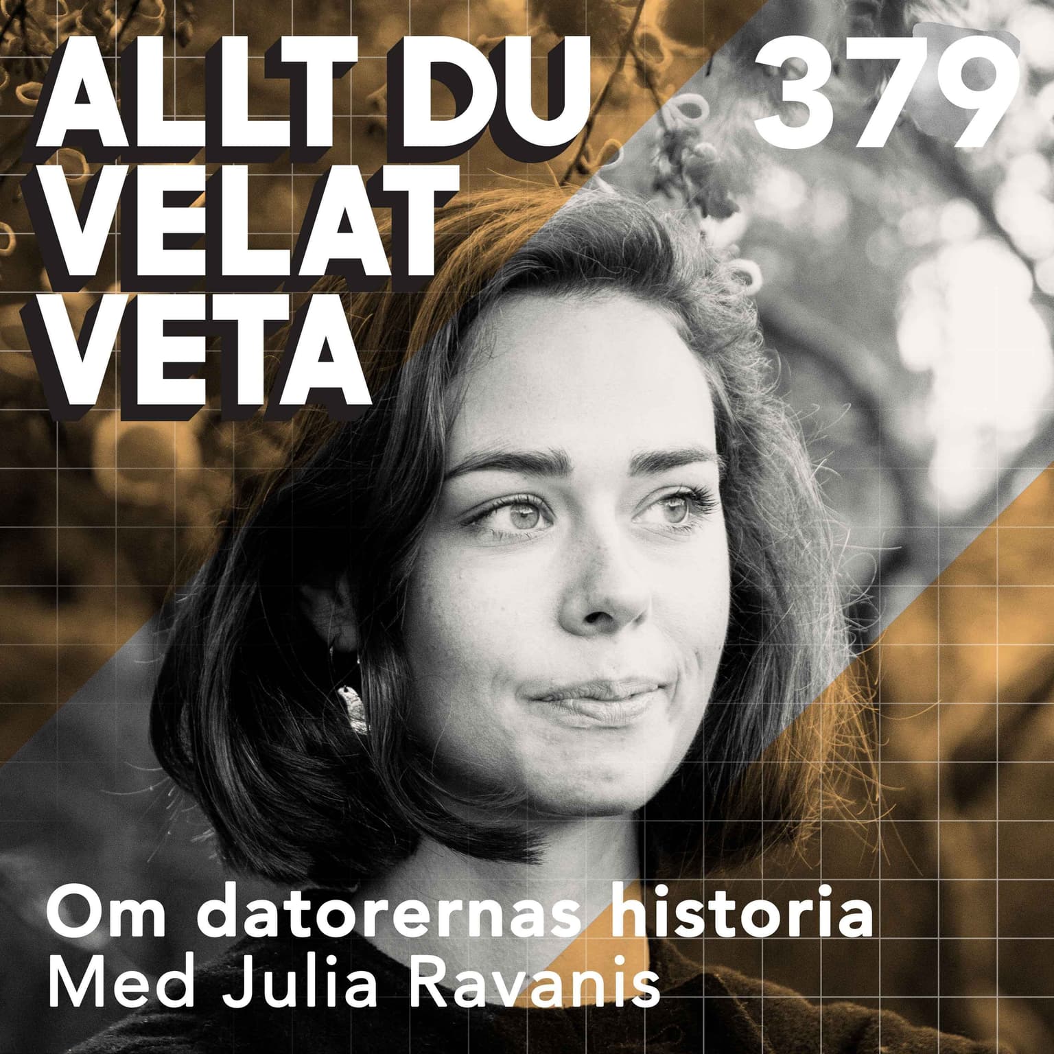 379 Om datorernas historia med Julia Ravanis artwork