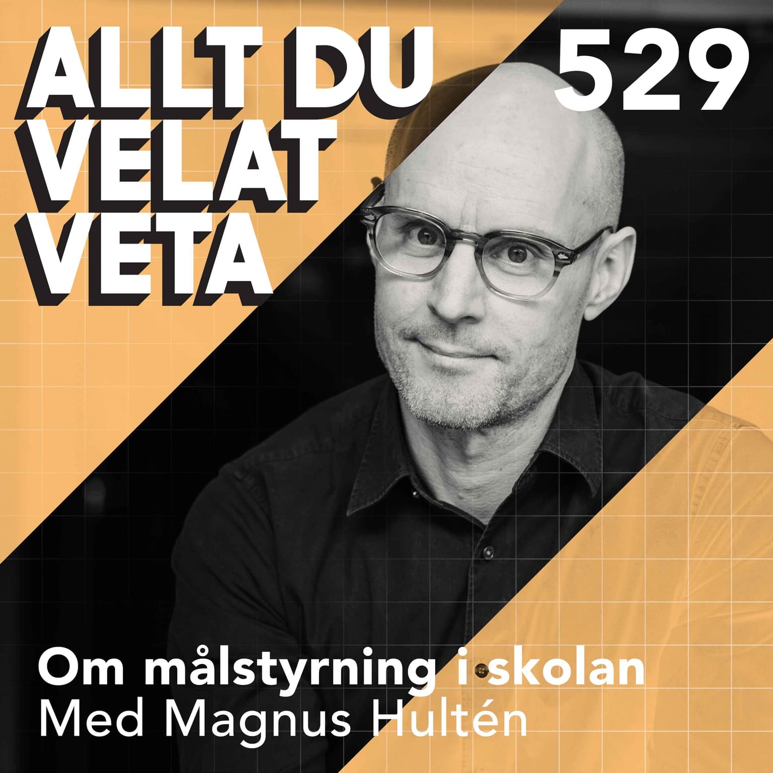 529 Om målstyrning i skolan med Magnus Hultén artwork
