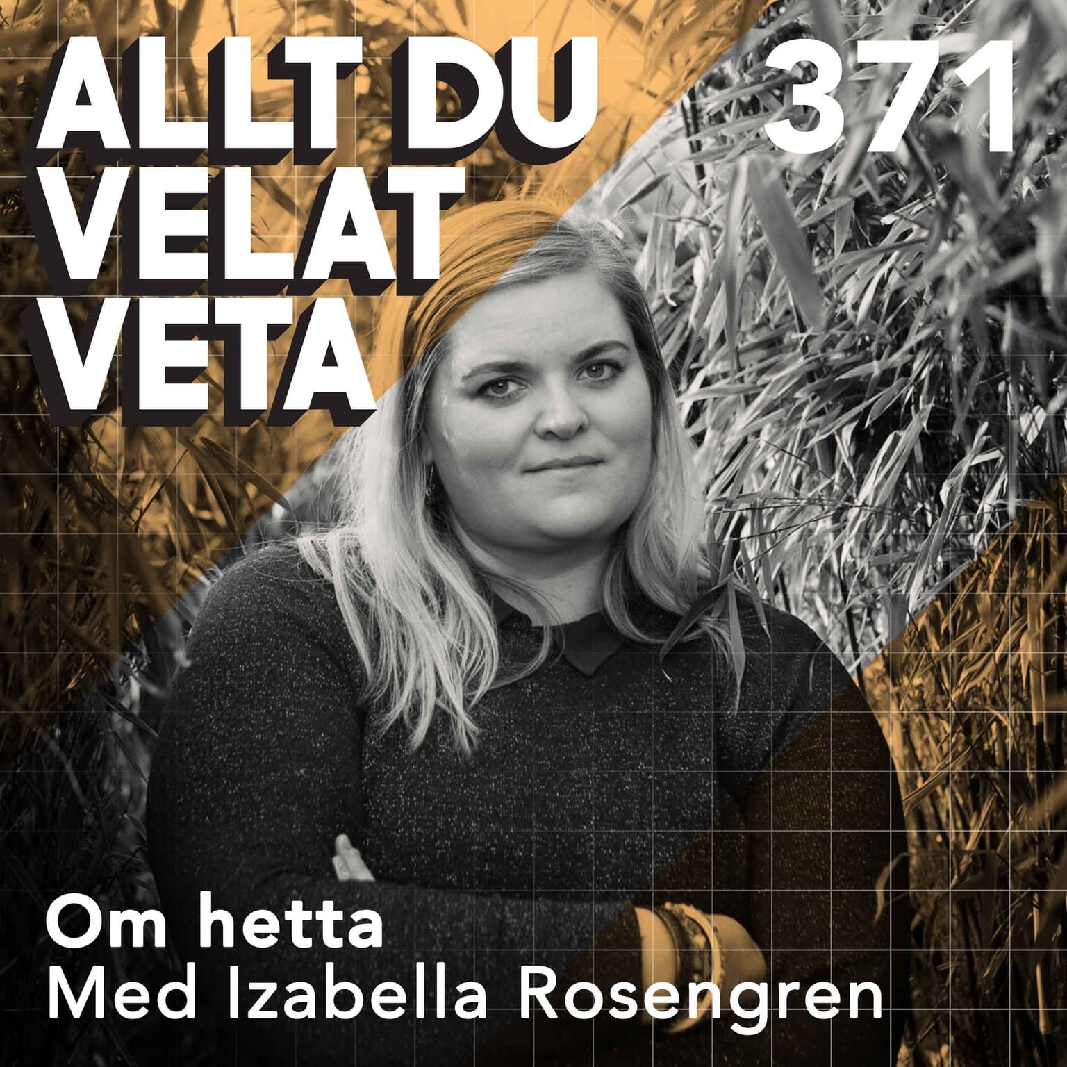 371 Om hetta med Izabella Rosengren artwork