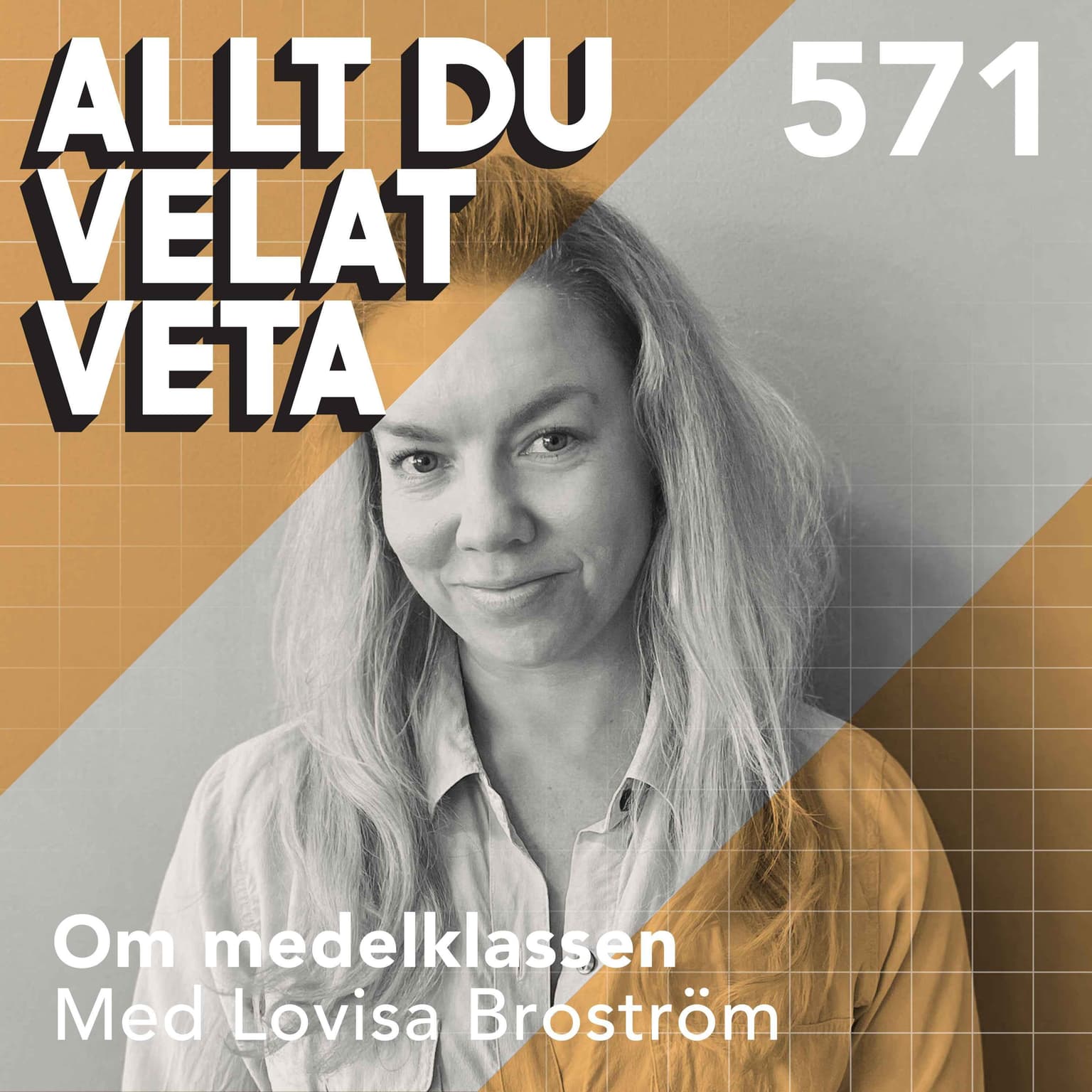 571 Om medelklassen med Lovisa Broström artwork