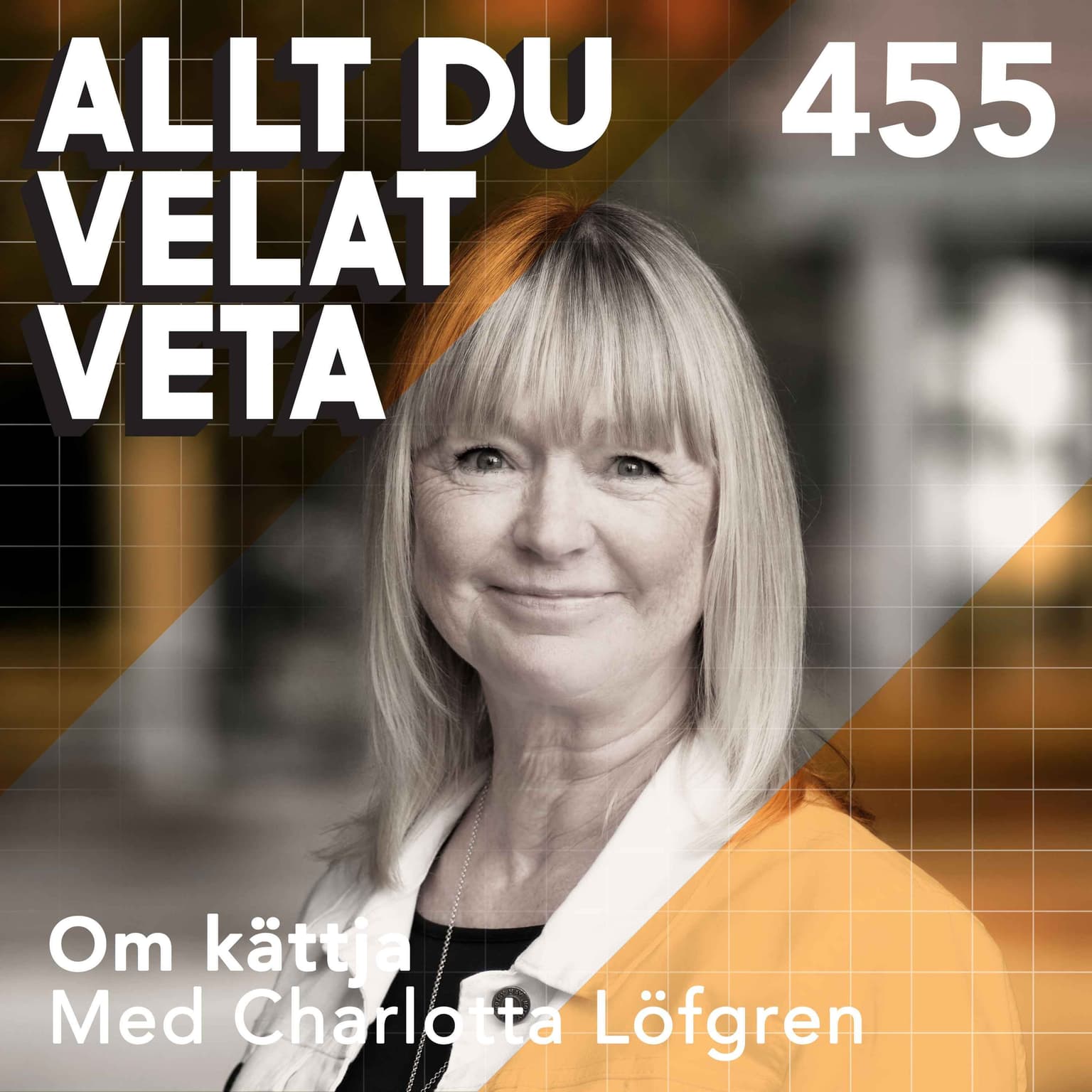 455 Om kättja med Charlotta Löfgren artwork