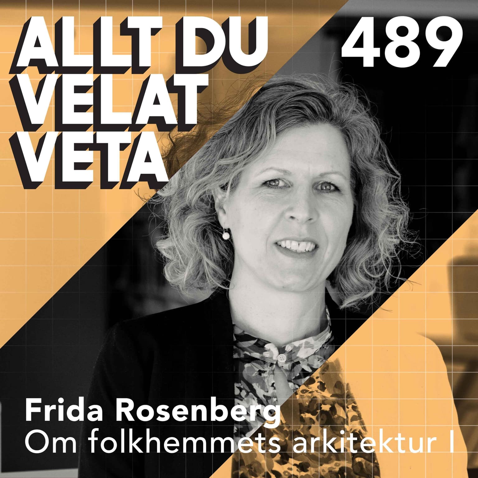 489 Om folkhemmets byggande del I artwork