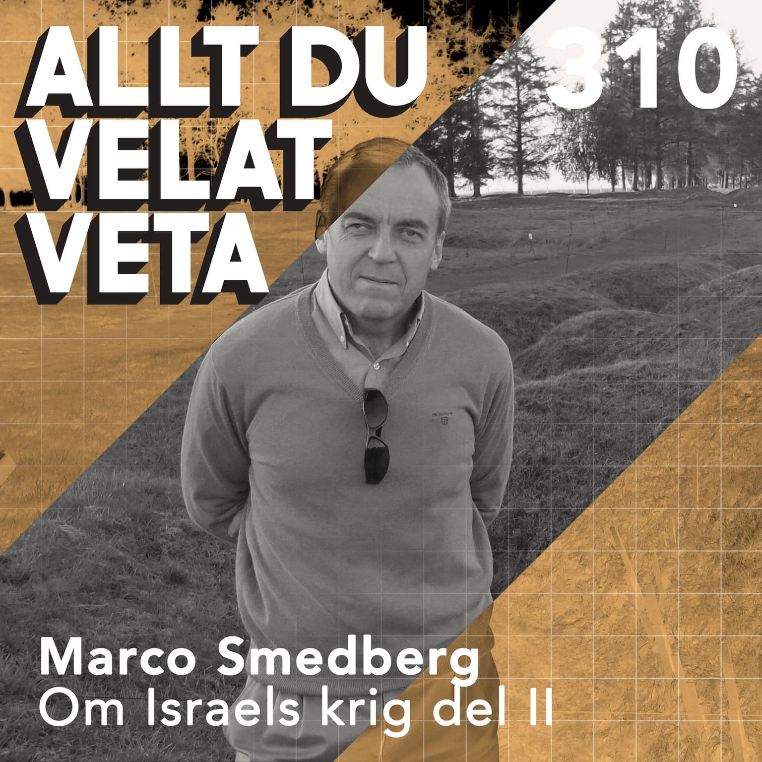 310 om Israels krig del II med Marco Smedberg artwork