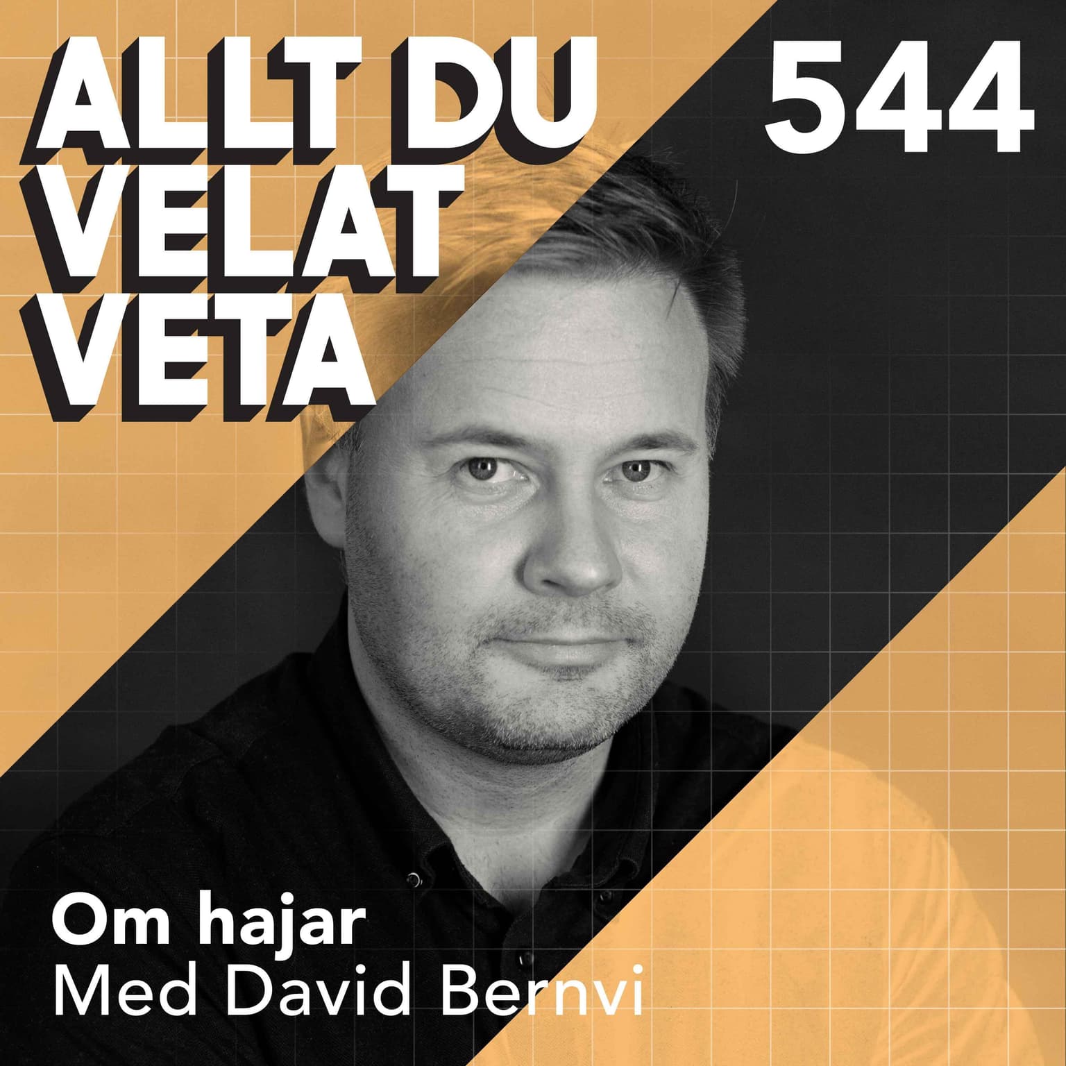 544 Om hajar med David Bernvi - Havets urtidsrovdjur – vad vi egentligen vet om dem? artwork