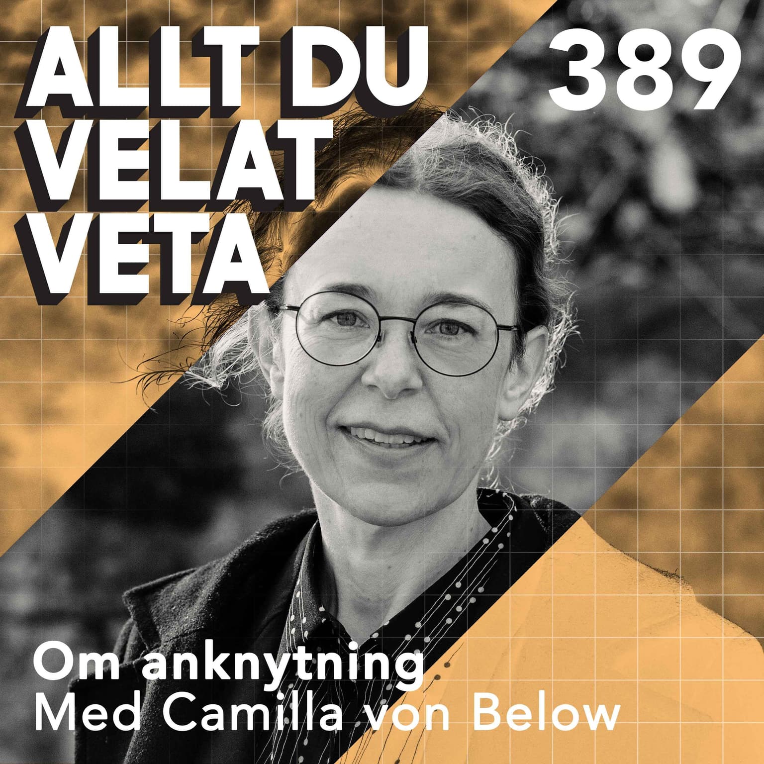 389 Om anknytning med Camilla von Below artwork