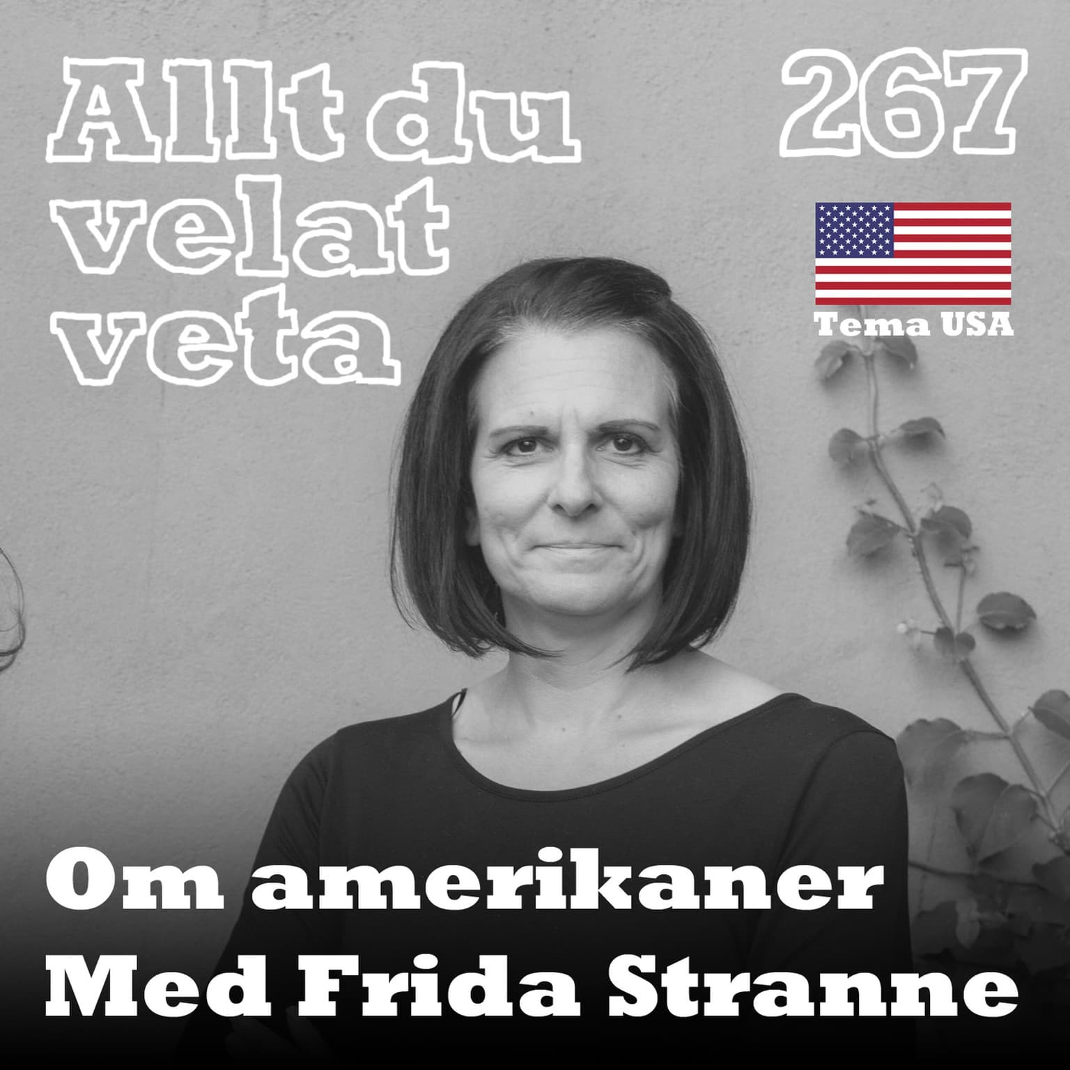267 Om amerikaner med Frida Stranne artwork