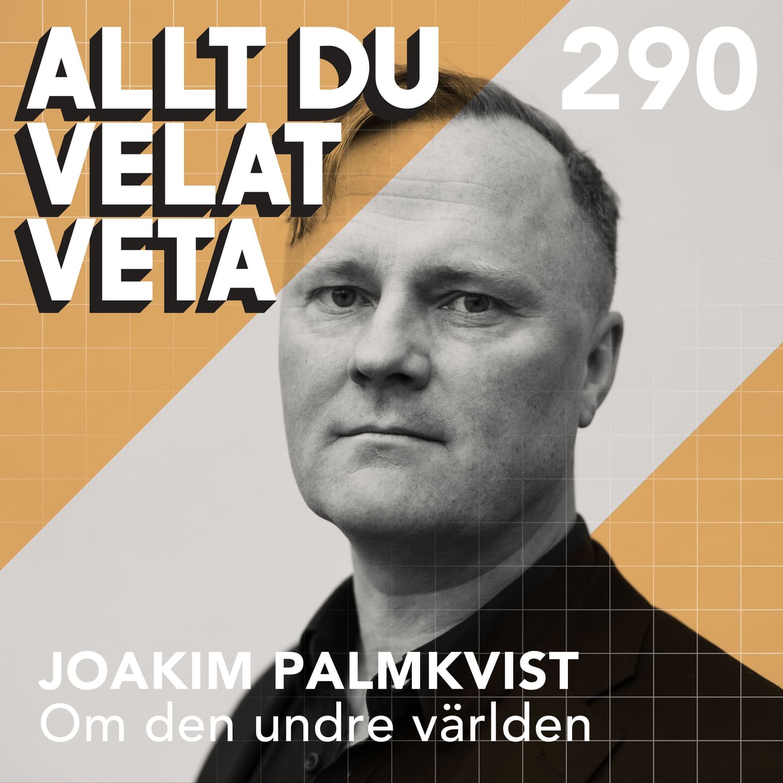 290 Om den undre världen med Joakim Palmkvist artwork