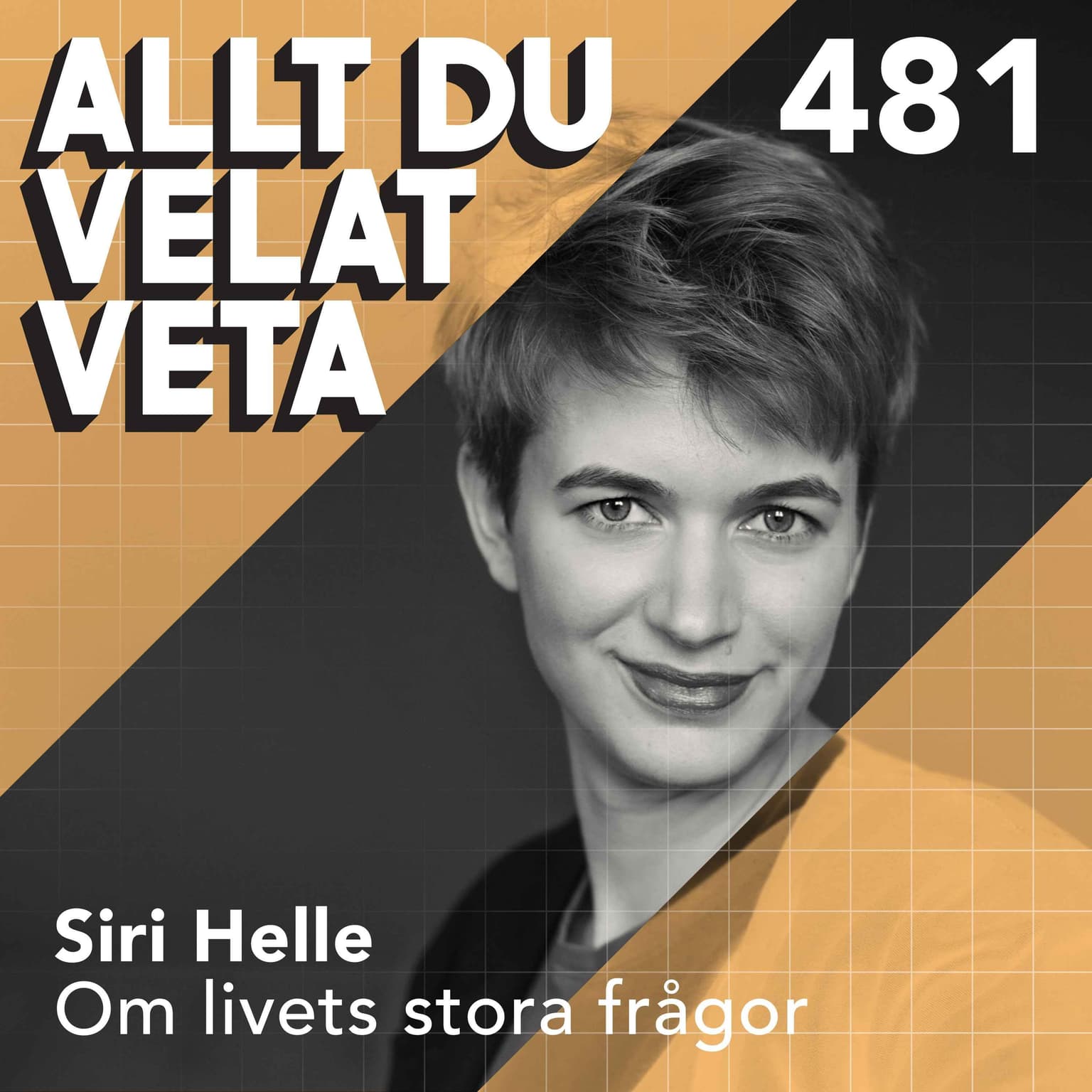 481 Om livets stora frågor med Siri Helle artwork