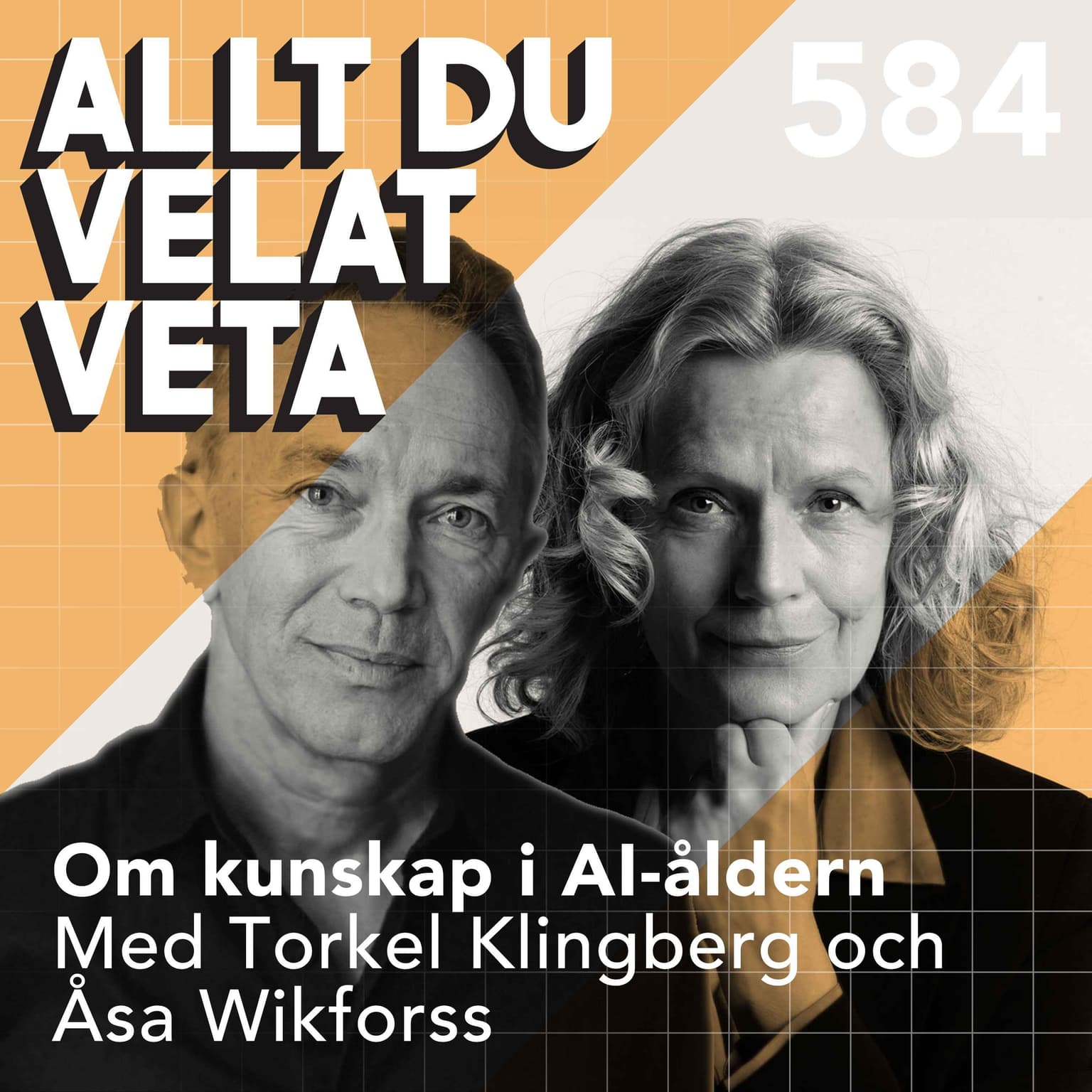584 Om kunskap i AI-åldern med Torkel Klingberg och Åsa Wikforss artwork