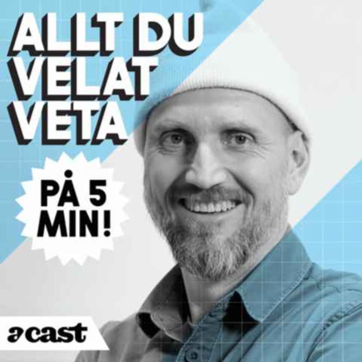 5 minuter om svenska folkomröstningar artwork