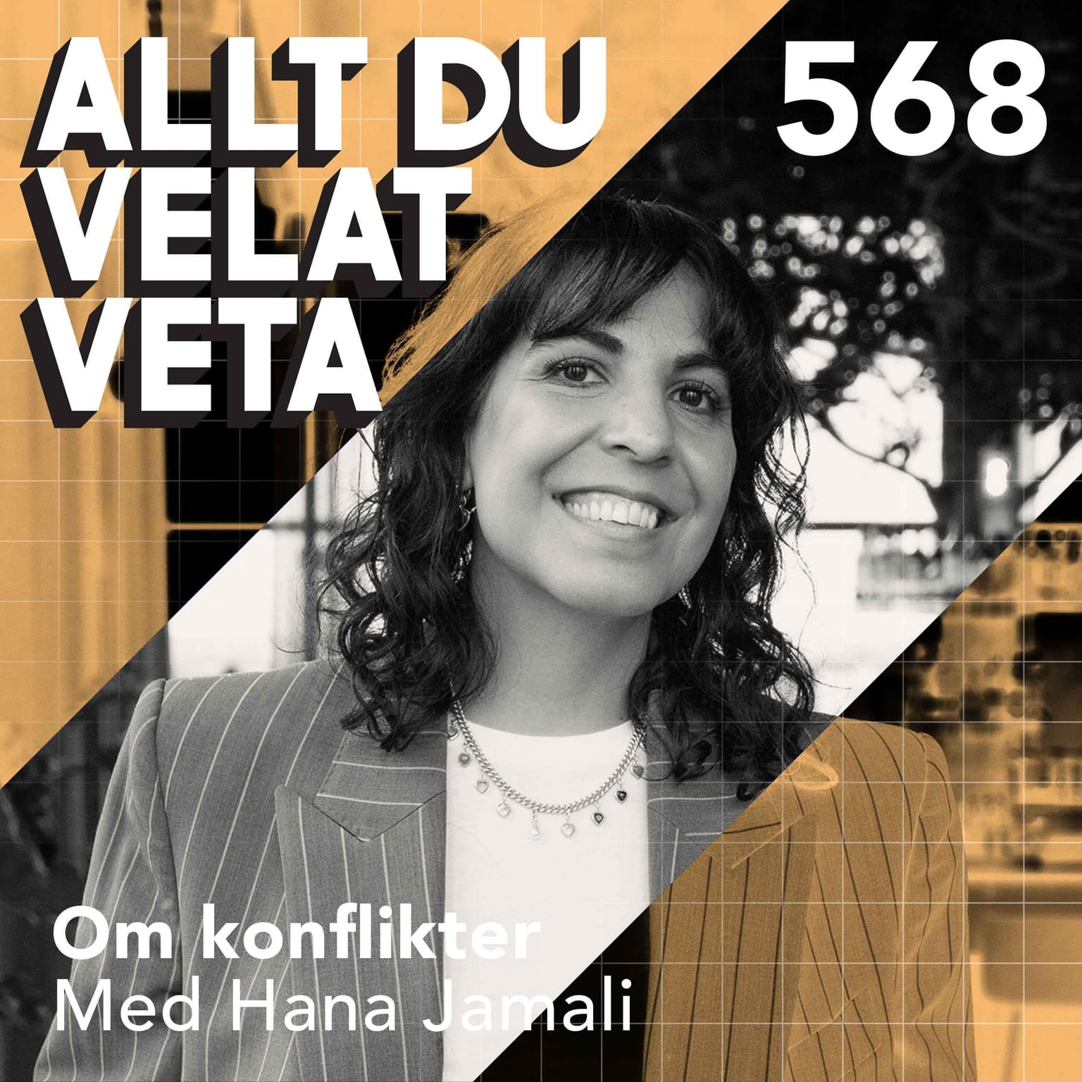 568 Om konflikter med Hana Jamali artwork