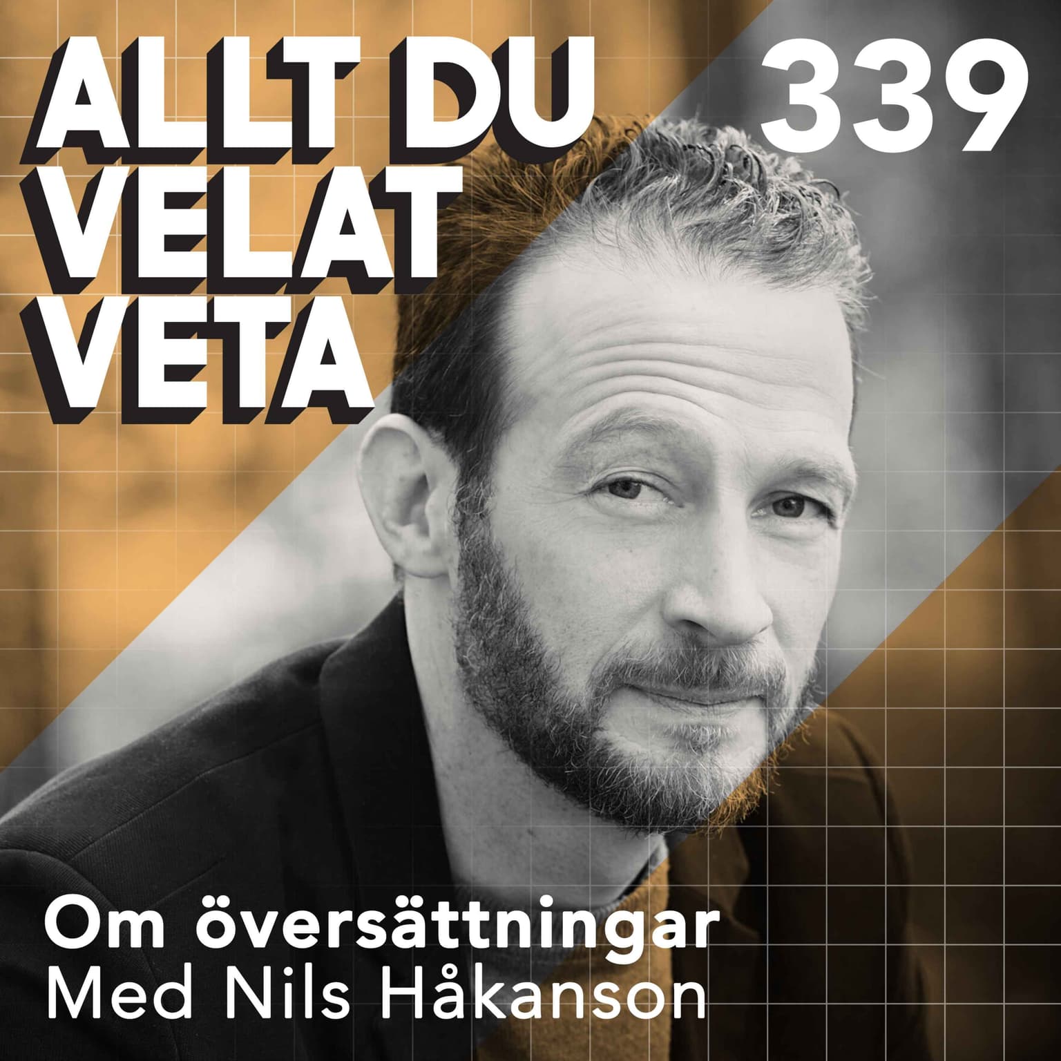 339 Om översättningar med Nils Håkanson artwork