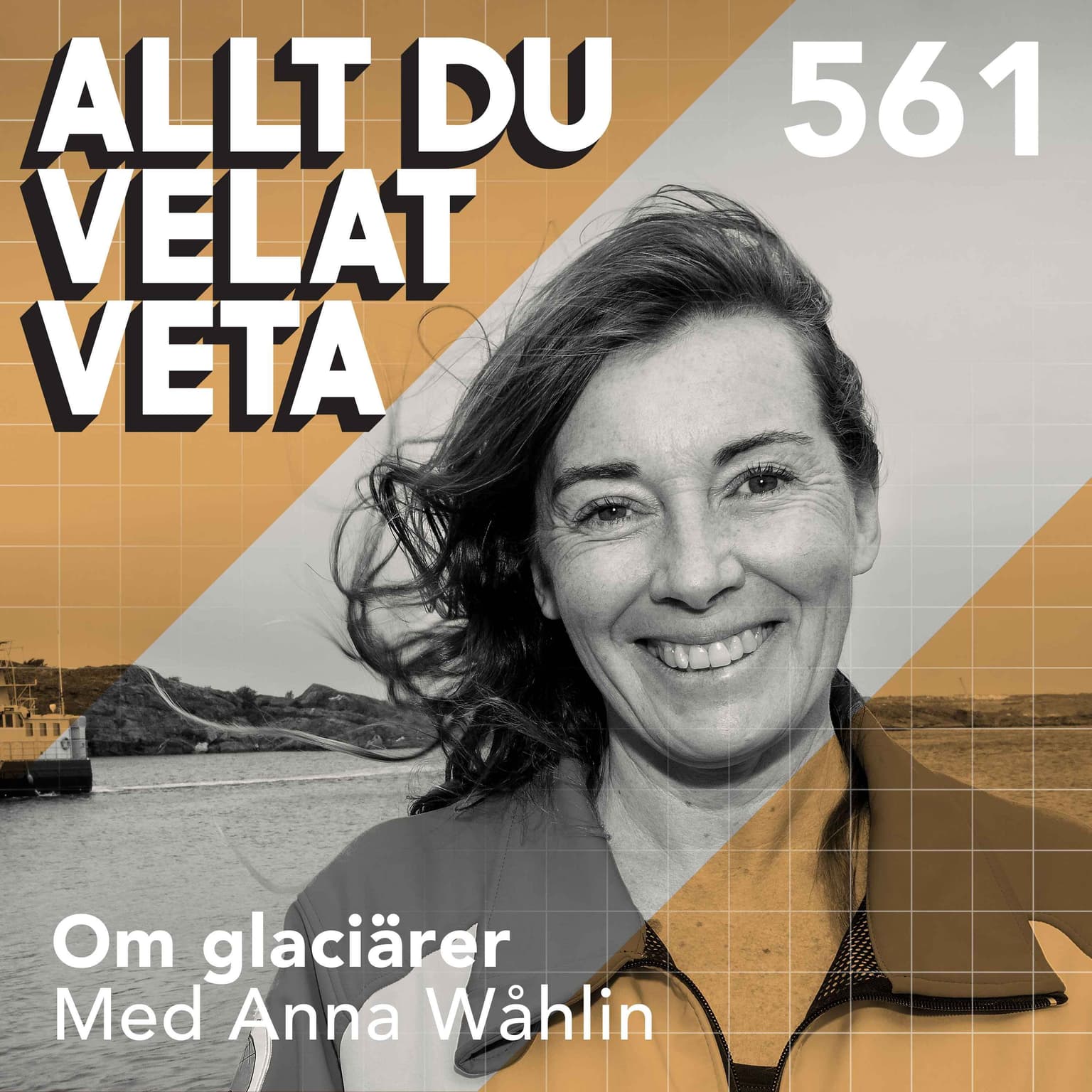 561 Om glaciärer med Anna Wåhlin artwork